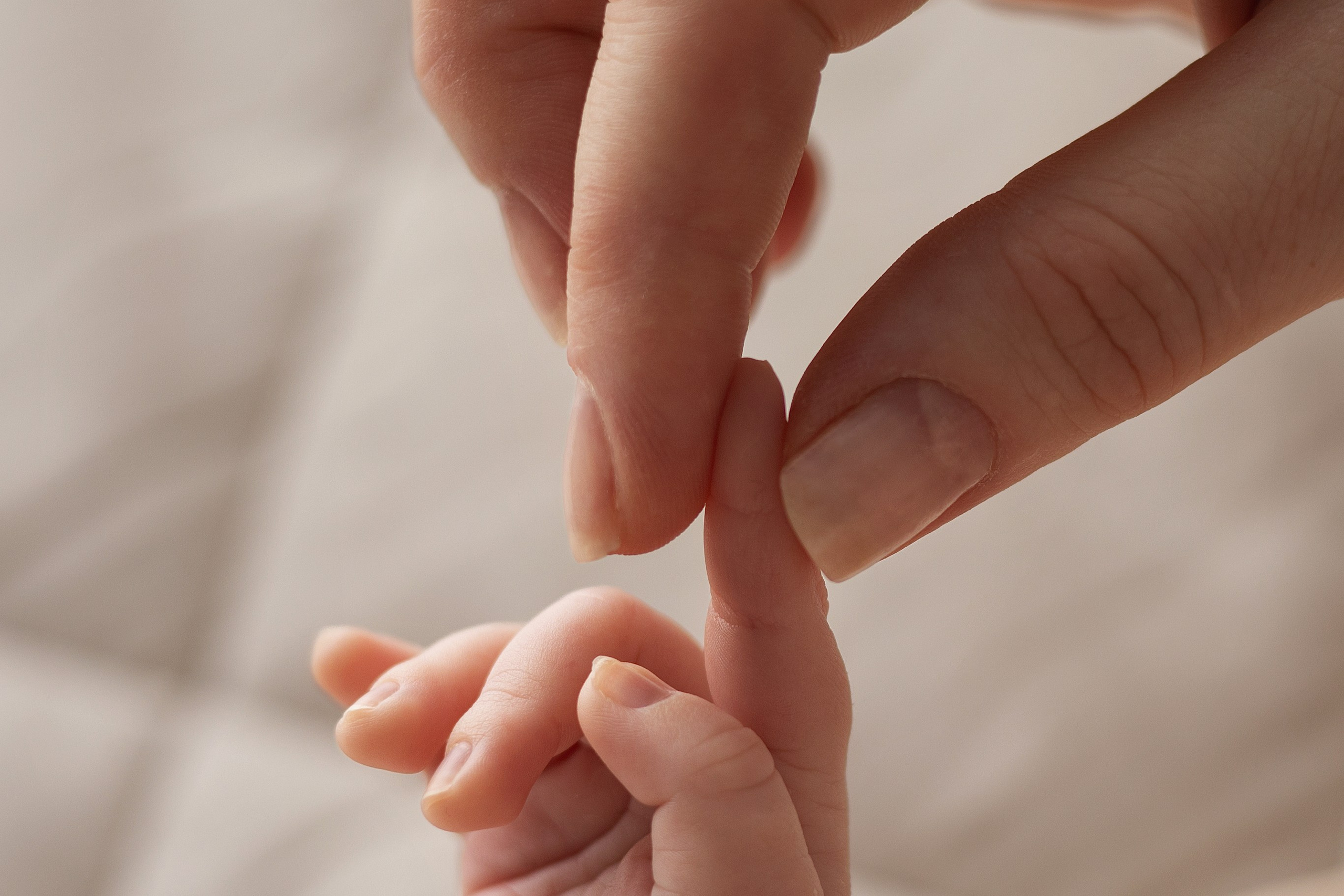 Данил. Фотограф новорожденных в Красноярске Мария Красикова