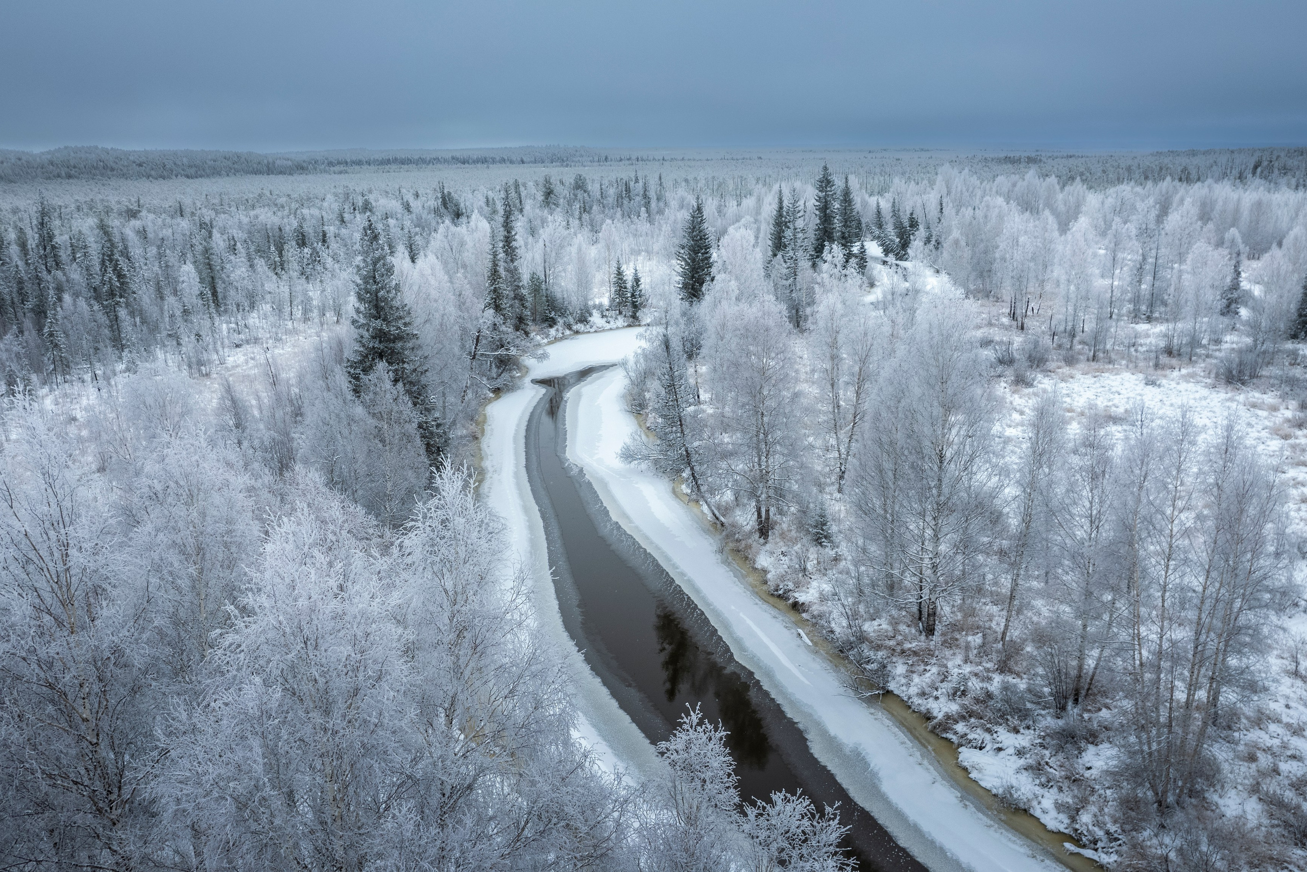 ПРИРОДА С ДРОНА