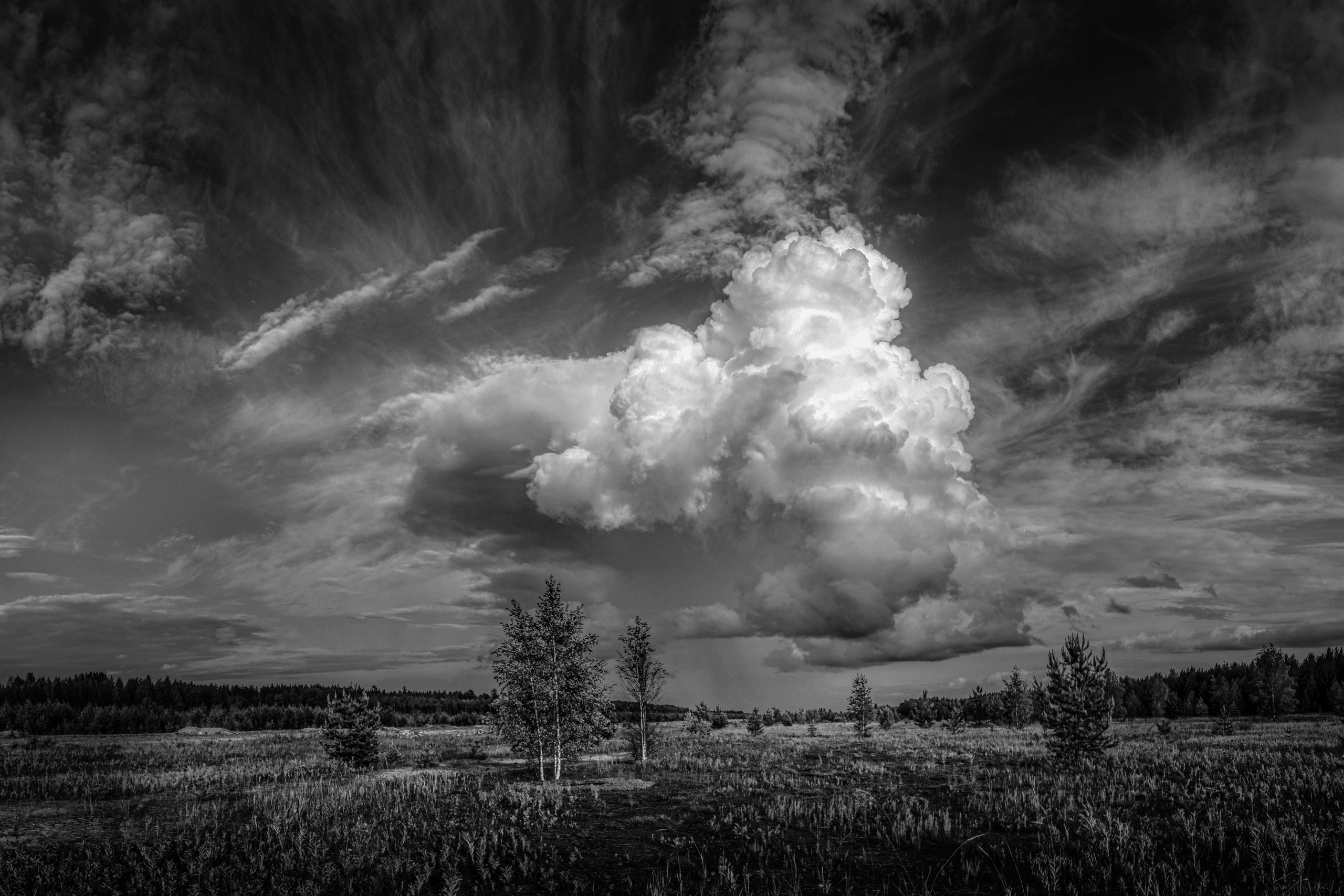 Черно-белые пейзажи