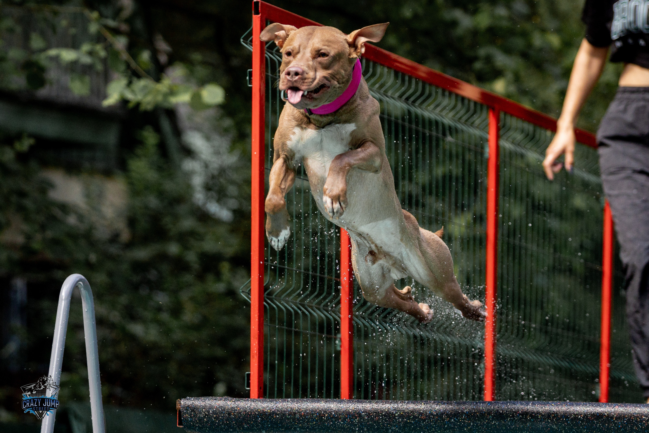 СОРЕВНОВАНИЯ ПО ДОК-ДАЙВИНГУ