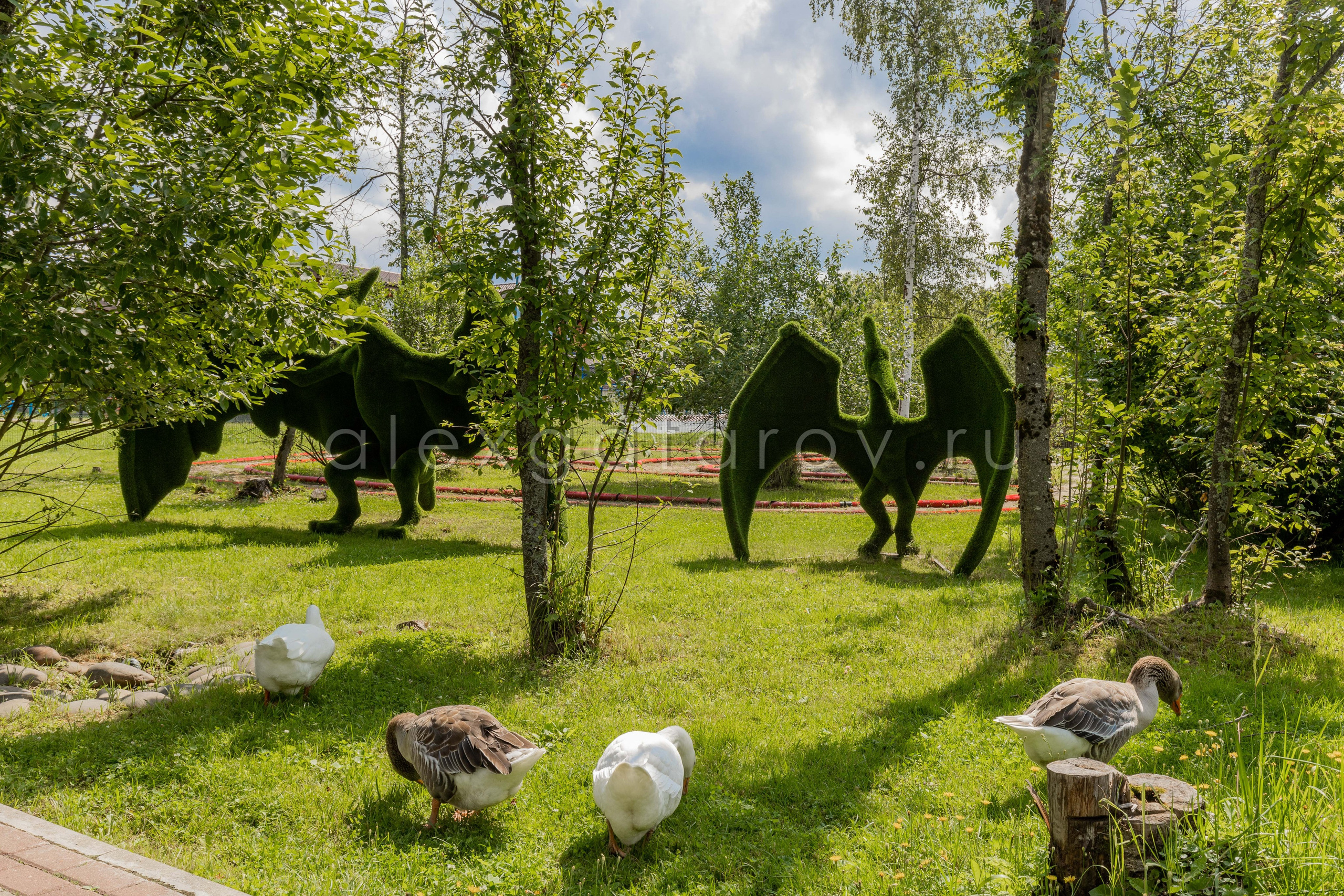 Коттеджный поселок «Ruza Family Park». Фотограф Гафаров Александр