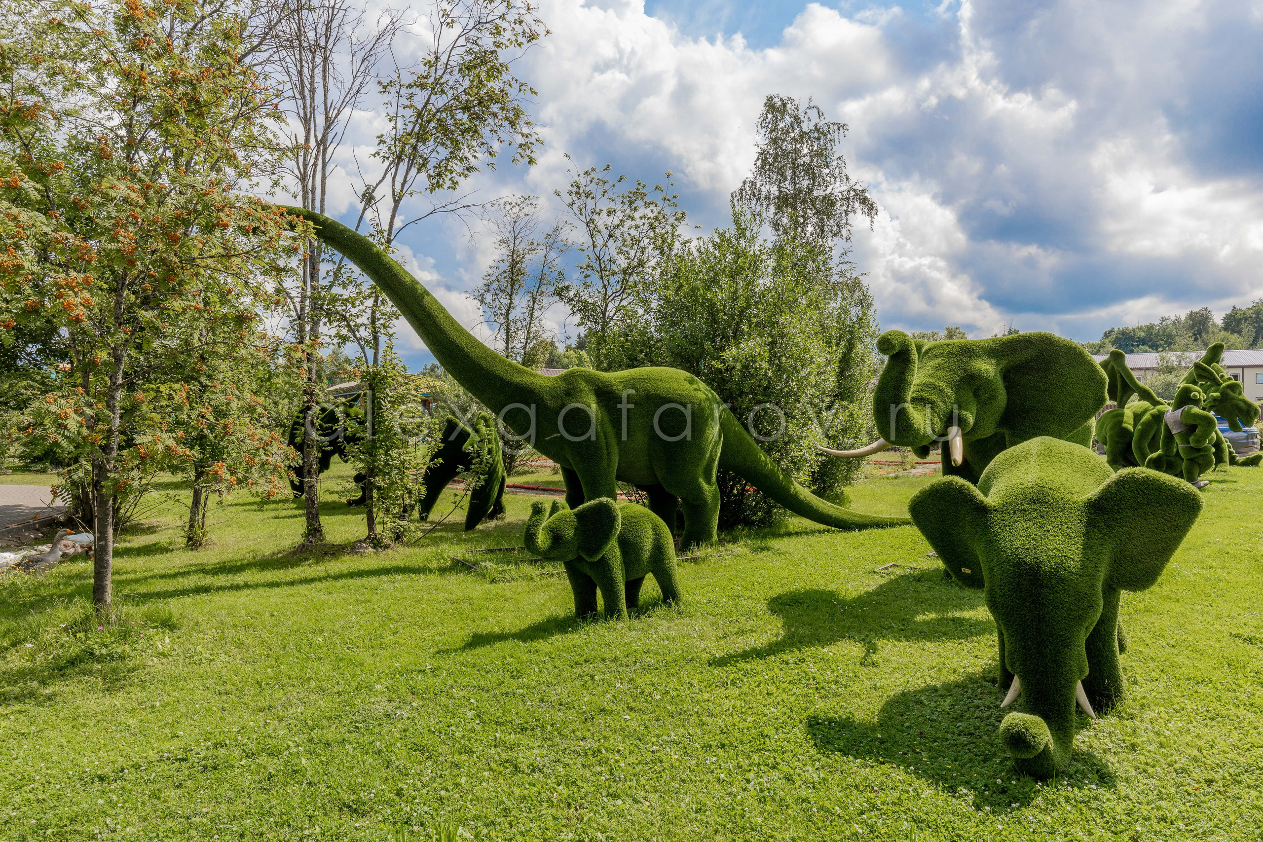 Коттеджный поселок «Ruza Family Park». Фотограф Гафаров Александр