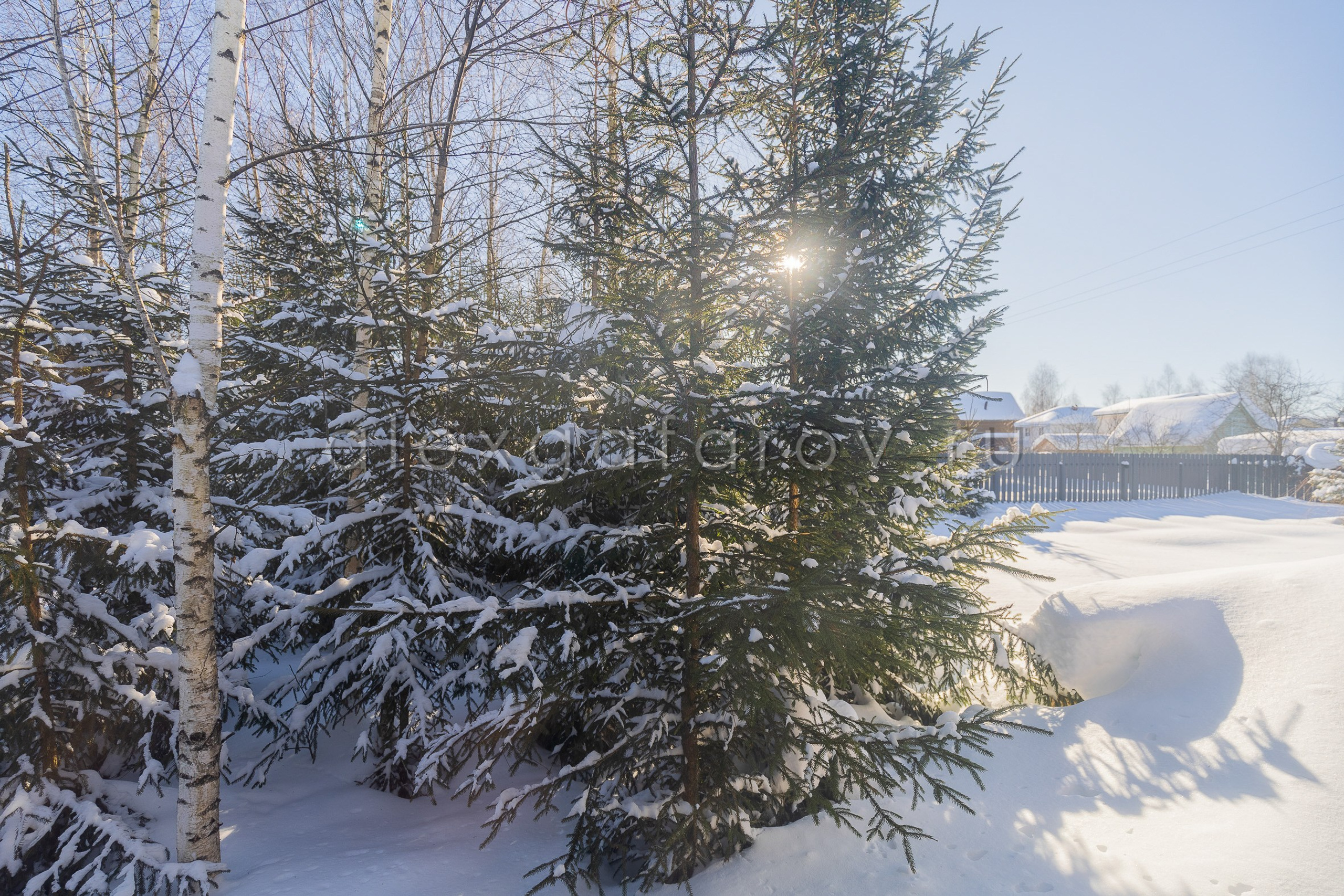 Коттеджный поселок «Пятницкие дачи». Фотограф Гафаров Александр