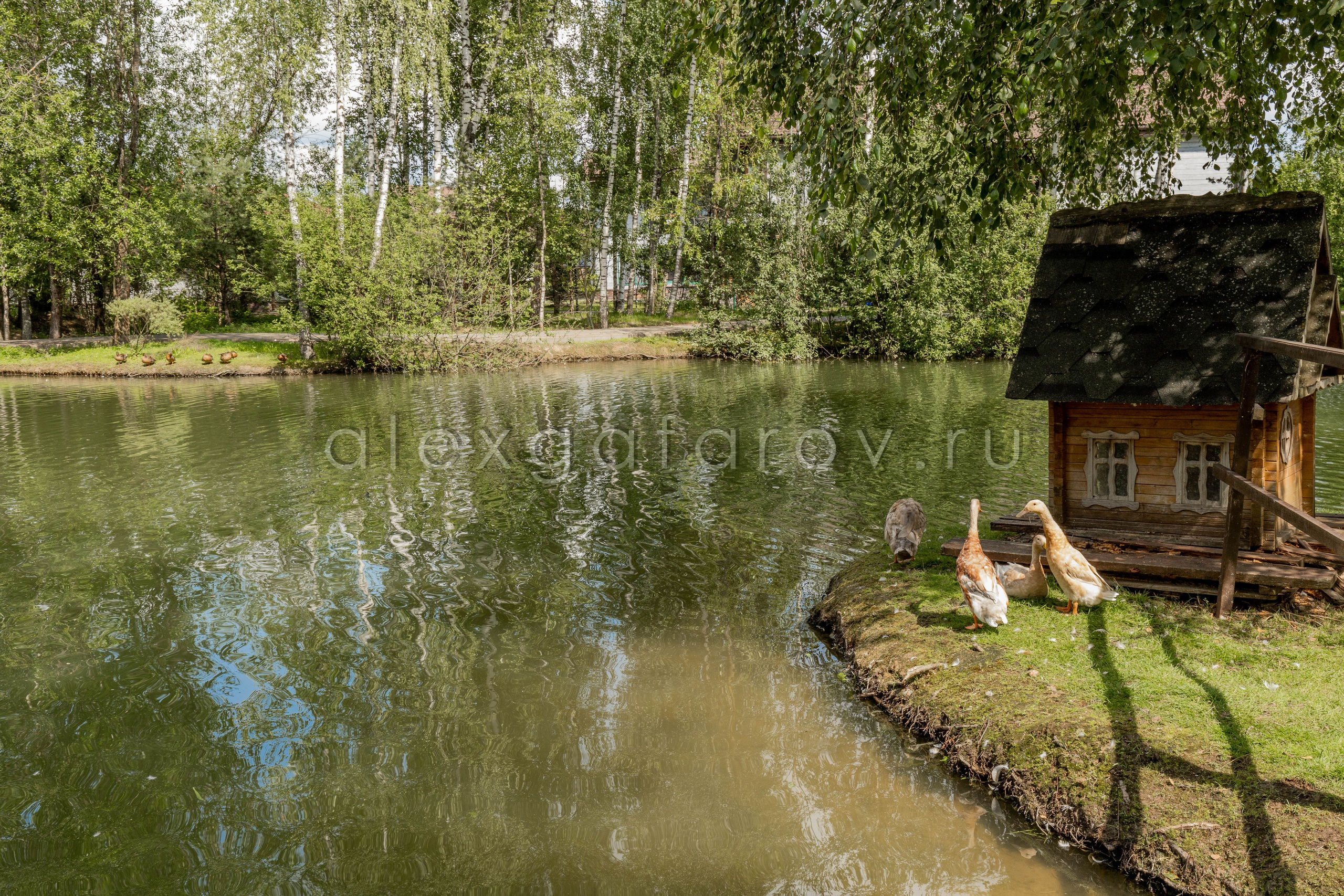 Коттеджный поселок «Ruza Family Park». Фотограф Гафаров Александр