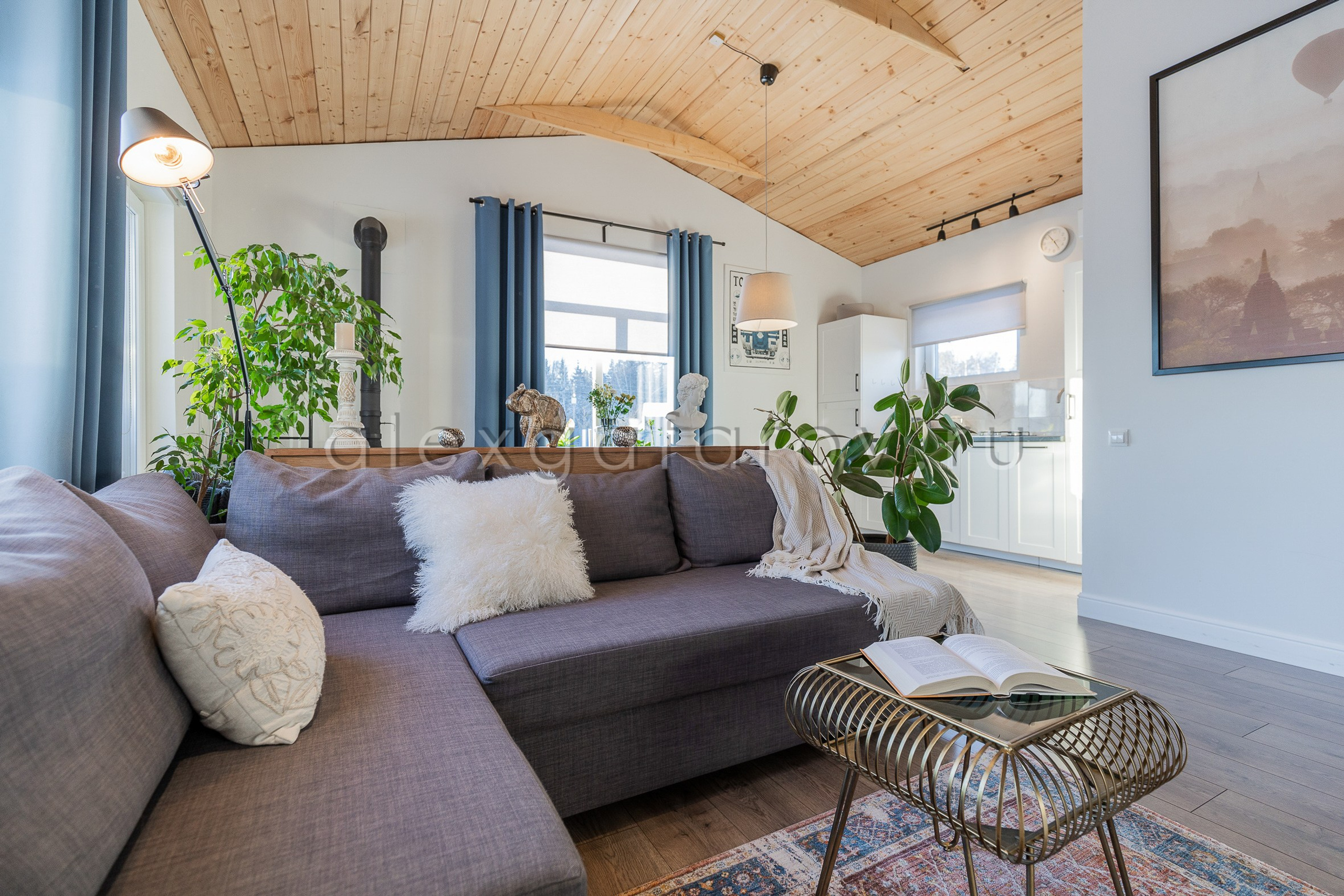 Коттеджный поселок «Пятницкие дачи». Фотограф Гафаров Александр