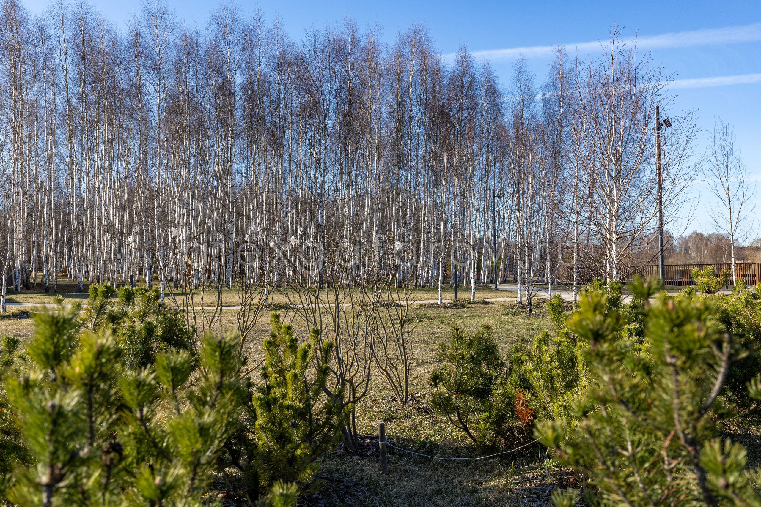 Коттеджный поселок «Crystal Istra». Фотограф Гафаров Александр