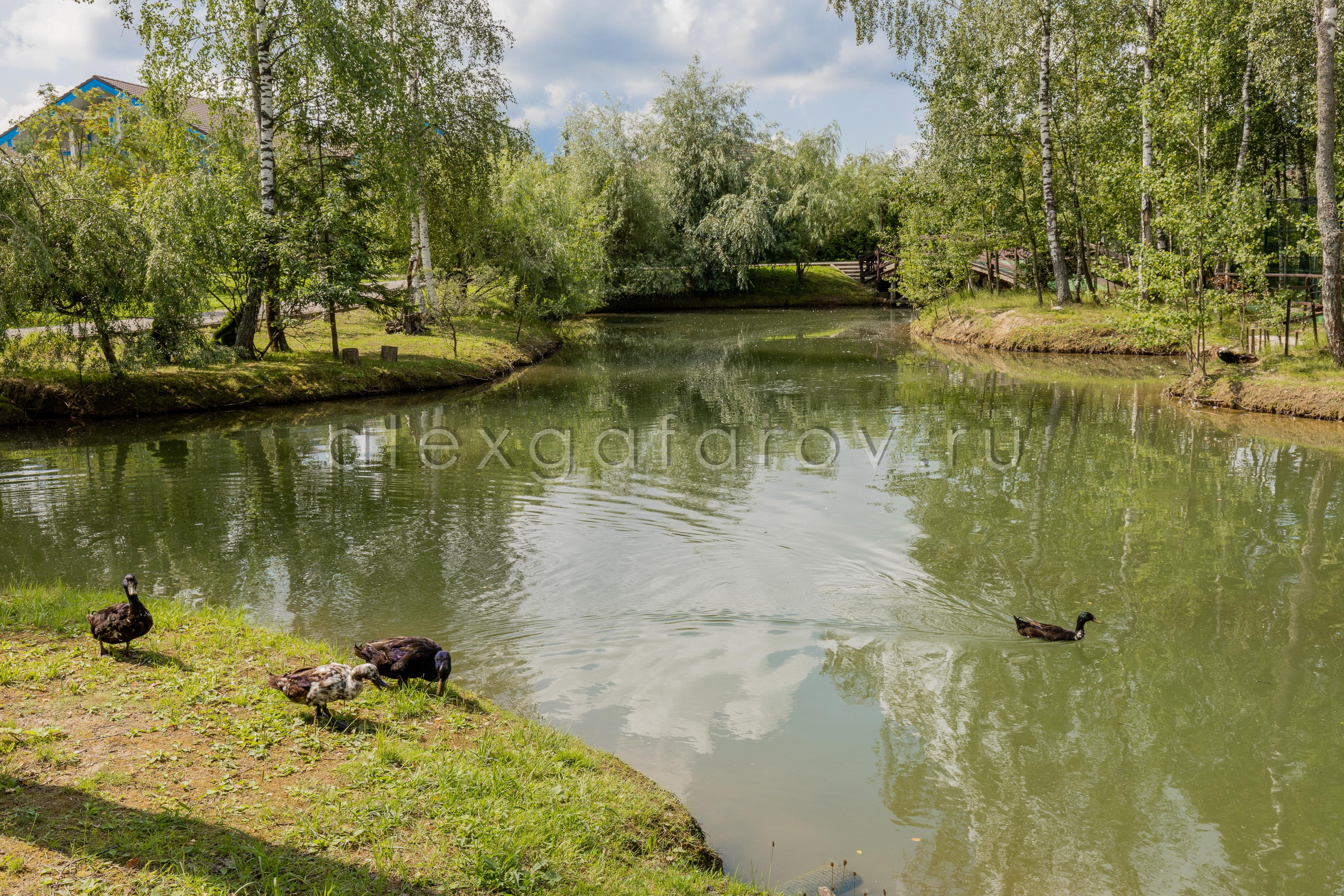 Коттеджный поселок «Ruza Family Park». Фотограф Гафаров Александр