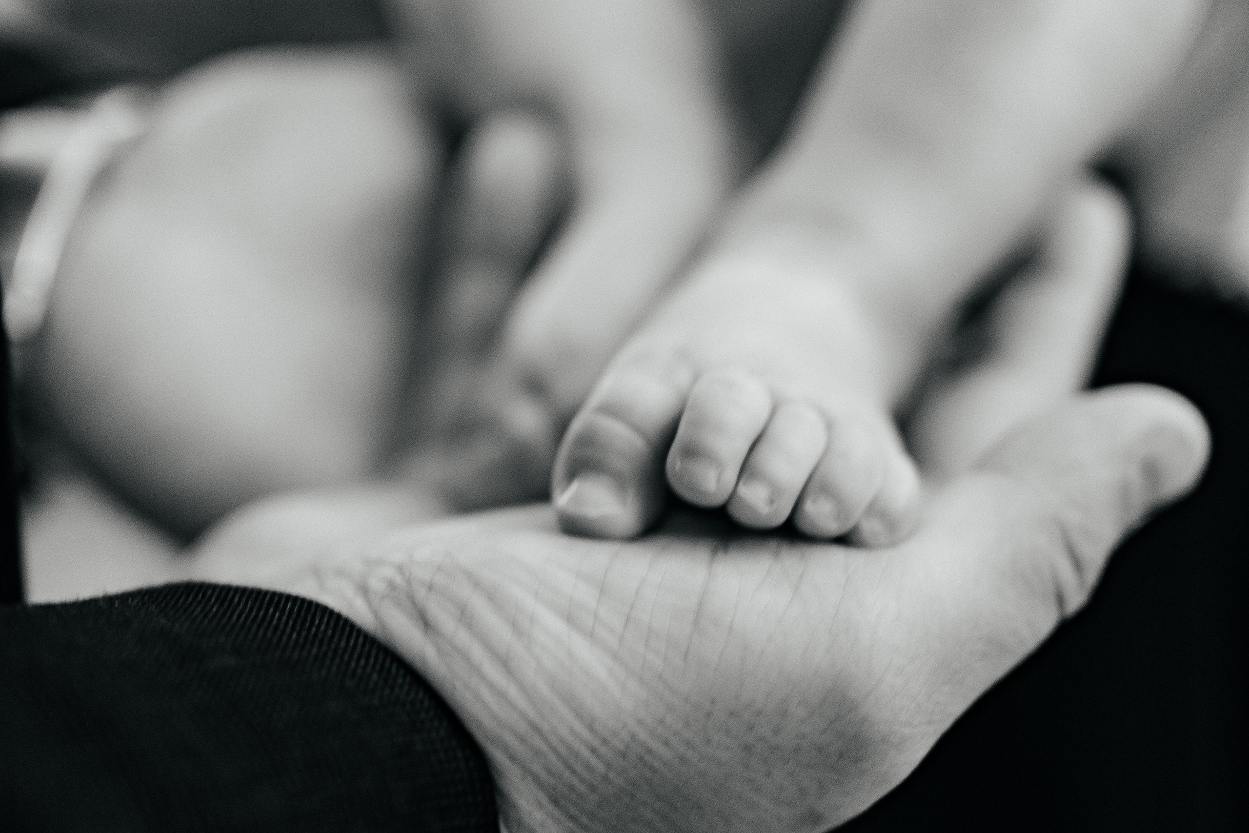 Храм в честь прп. Сергия Радонежского. Фотограф в Петропавловске-Камчатском (Камчатка) Алевская Алина