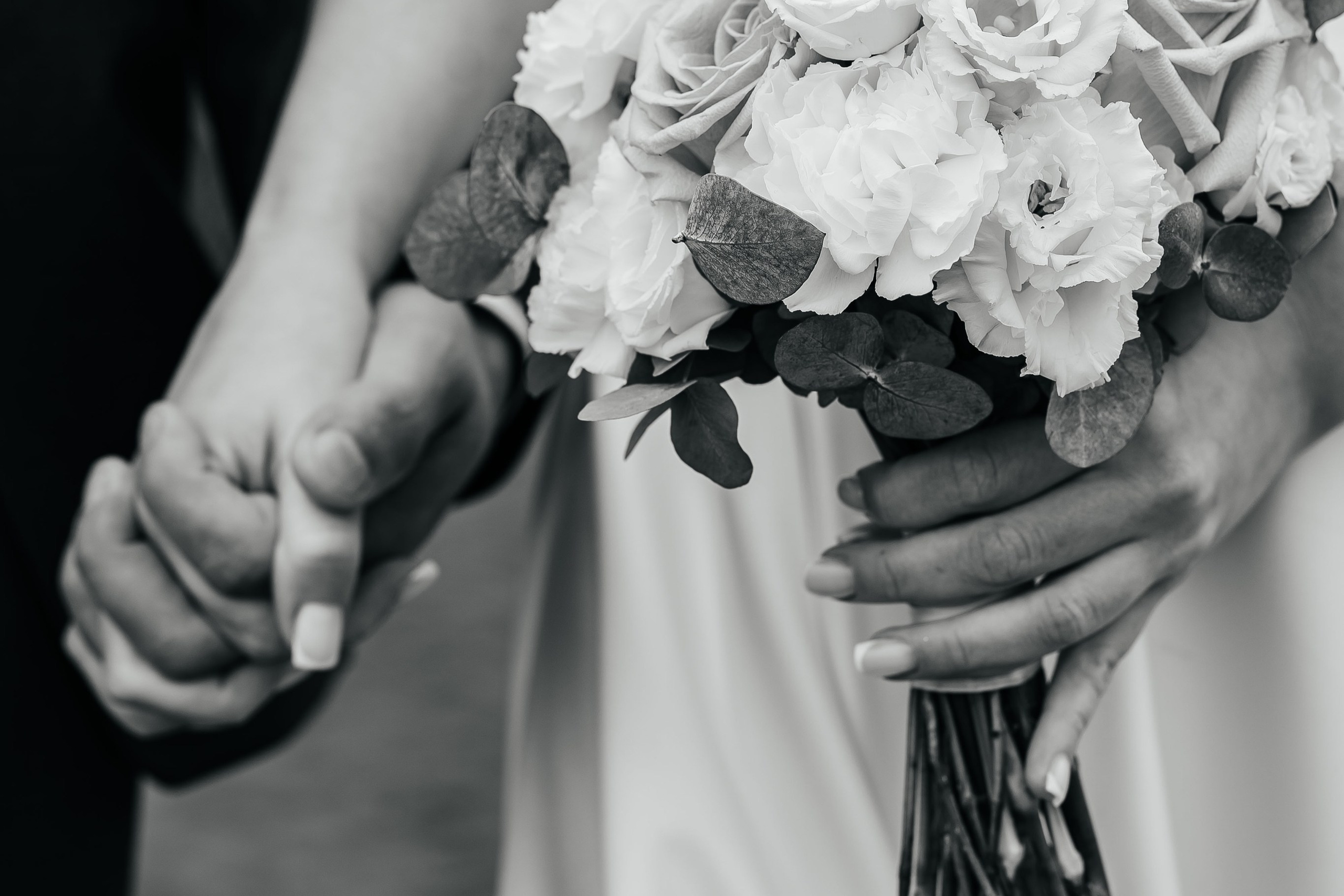 Прогулка (Поле/Океан). Фотограф в Петропавловске-Камчатском (Камчатка) Алевская Алина