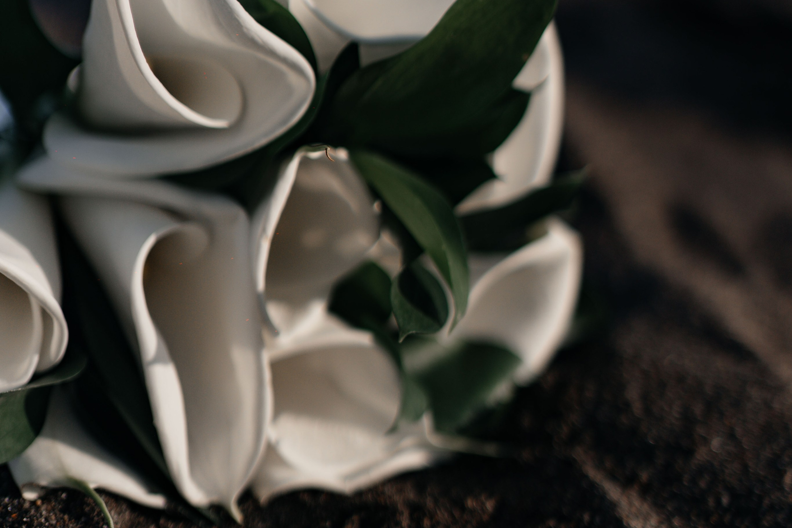 Данил Виктория. Фотограф в Петропавловске-Камчатском (Камчатка) Алевская Алина