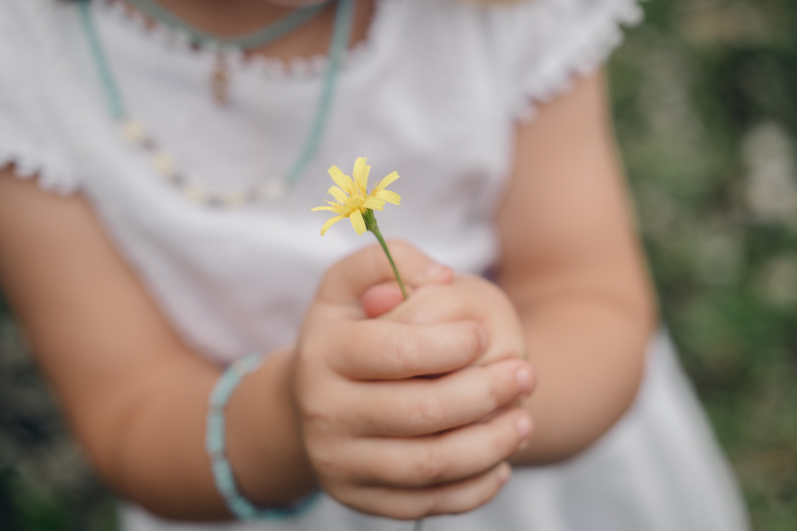 Абхазия|Горы