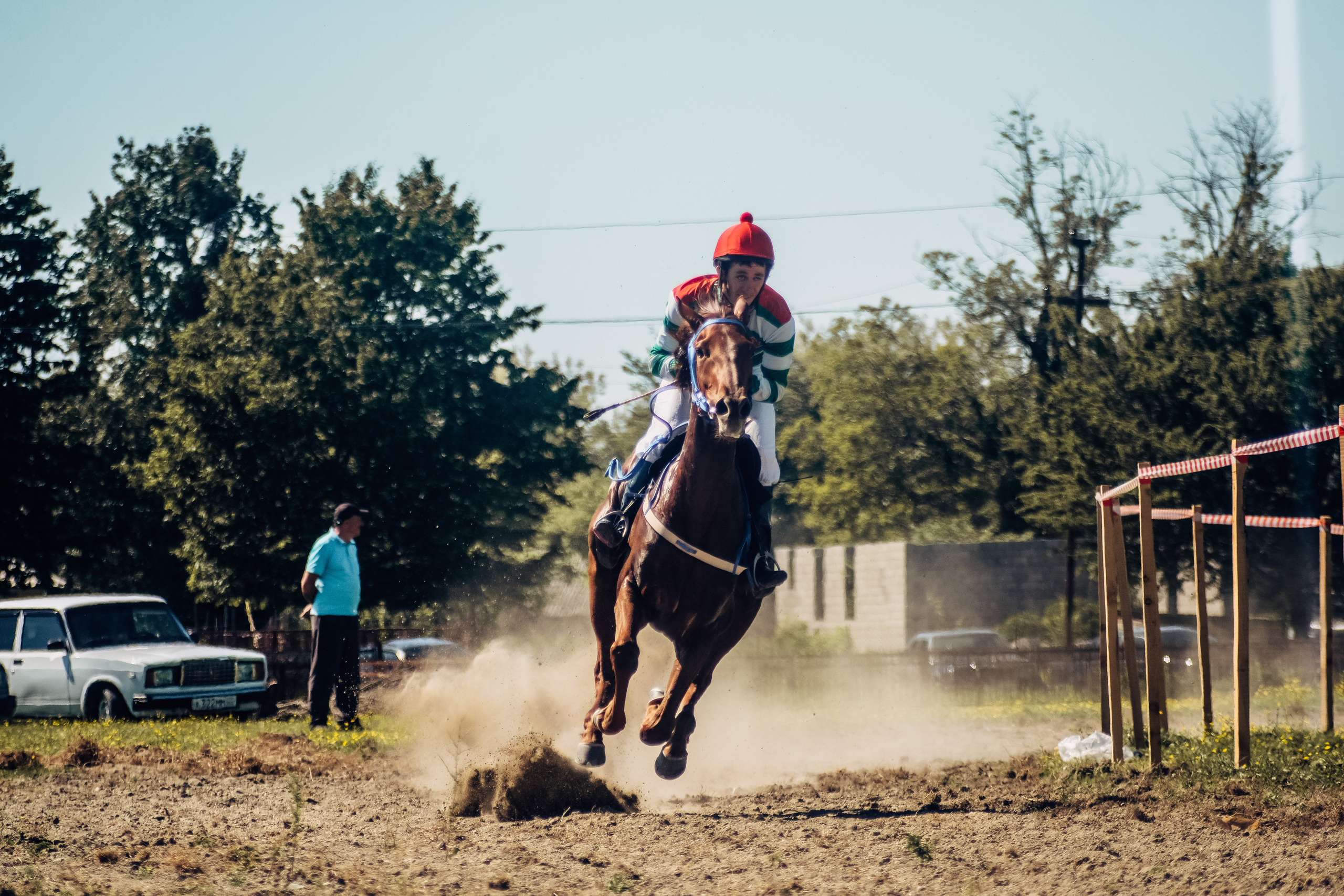 Georgia|Horse shows