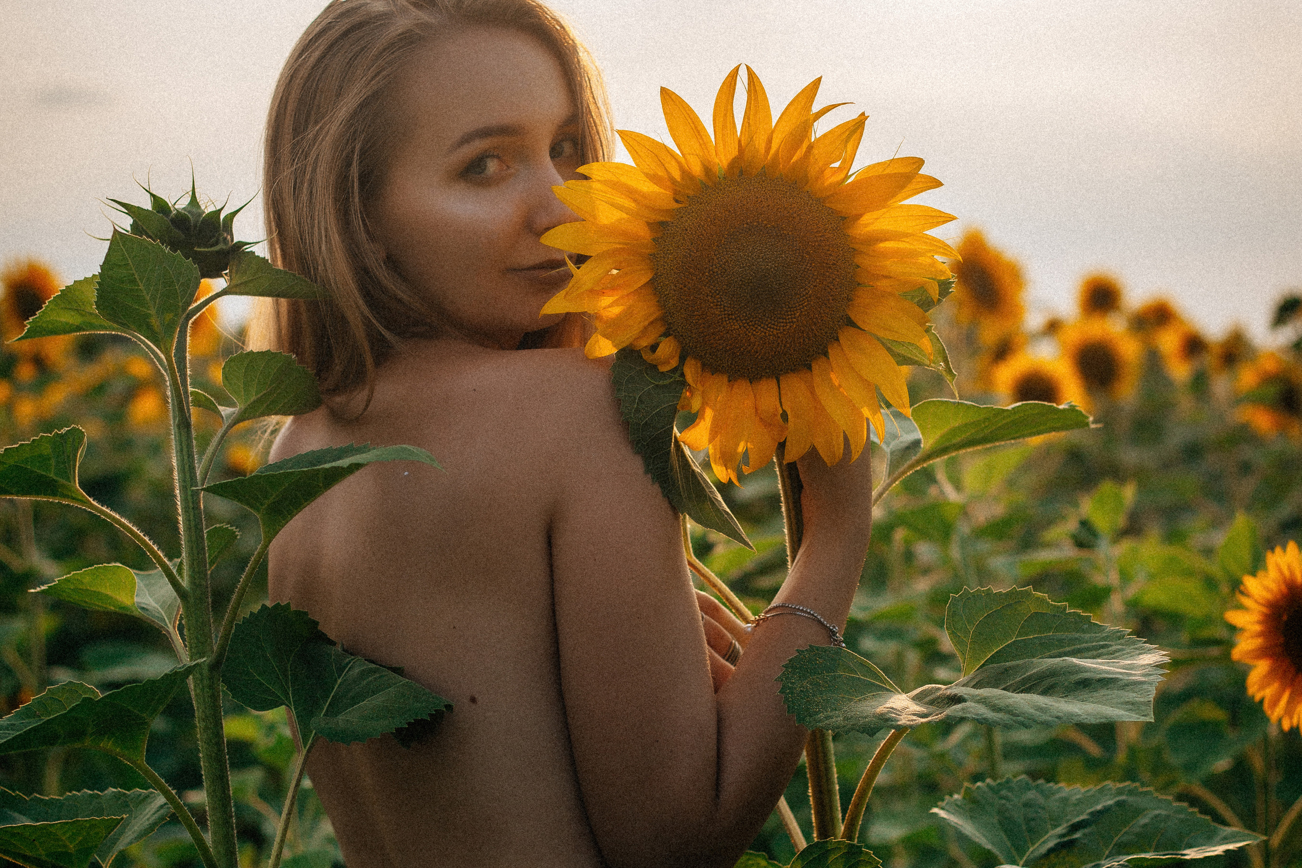 Анастасия (2022 поле подсолнечника)