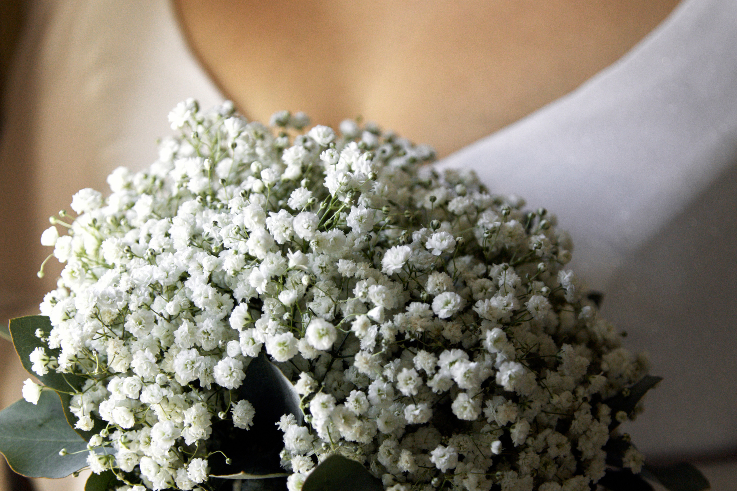 Артём и Анна