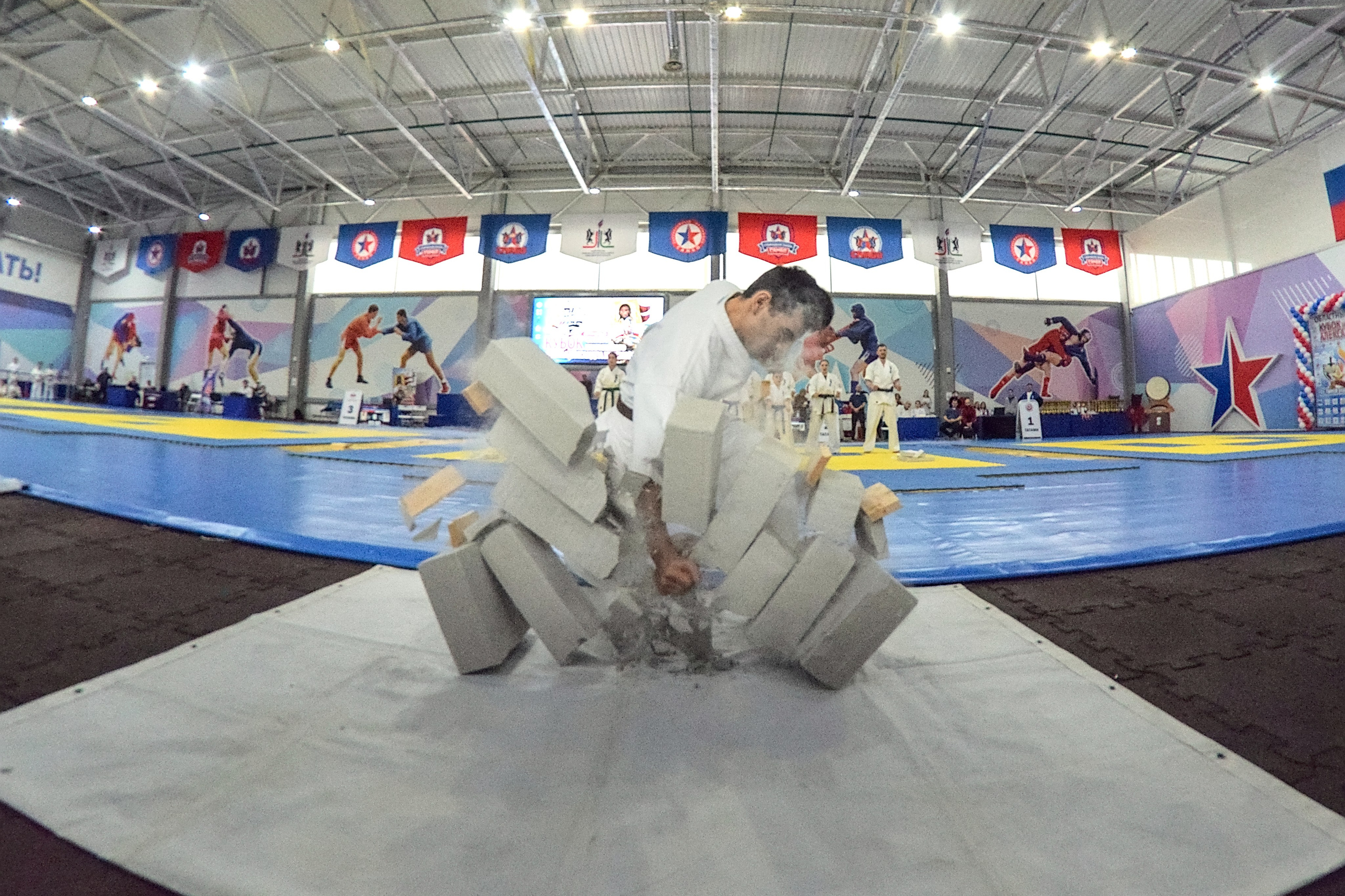 Блог. Фотограф анималист, пейзажист, спортивные мероприятия. Новосибирск