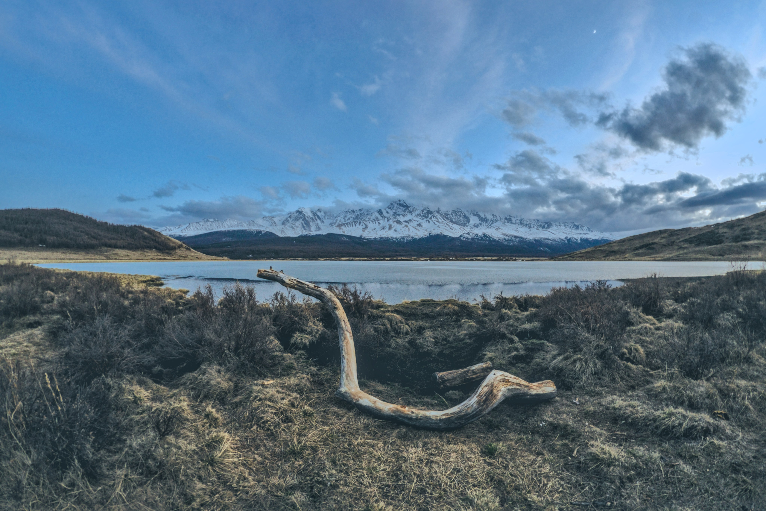 Блог. Фотограф анималист, пейзажист, спортивные мероприятия. Новосибирск