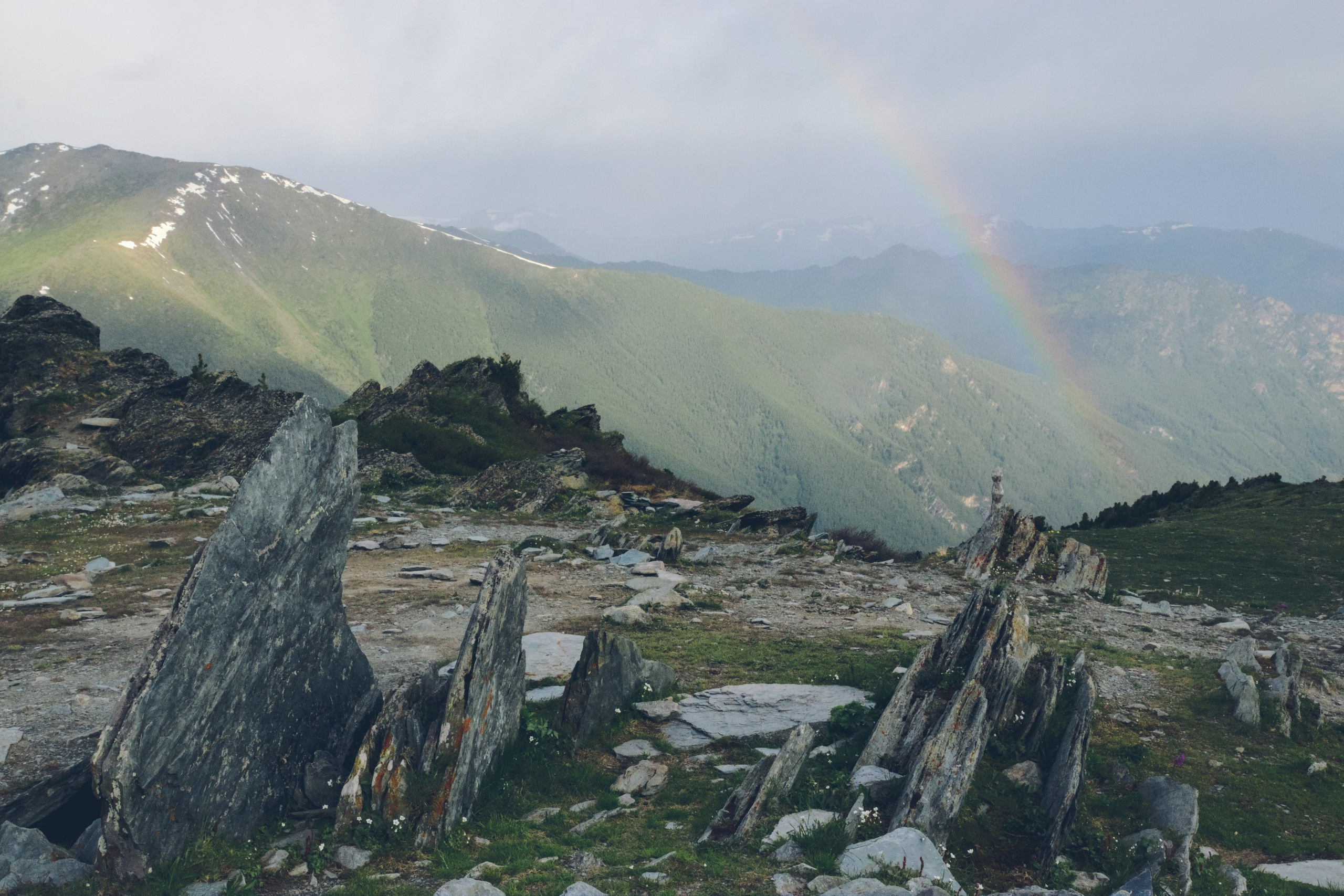 Блог. Фотограф анималист, пейзажист, спортивные мероприятия. Новосибирск
