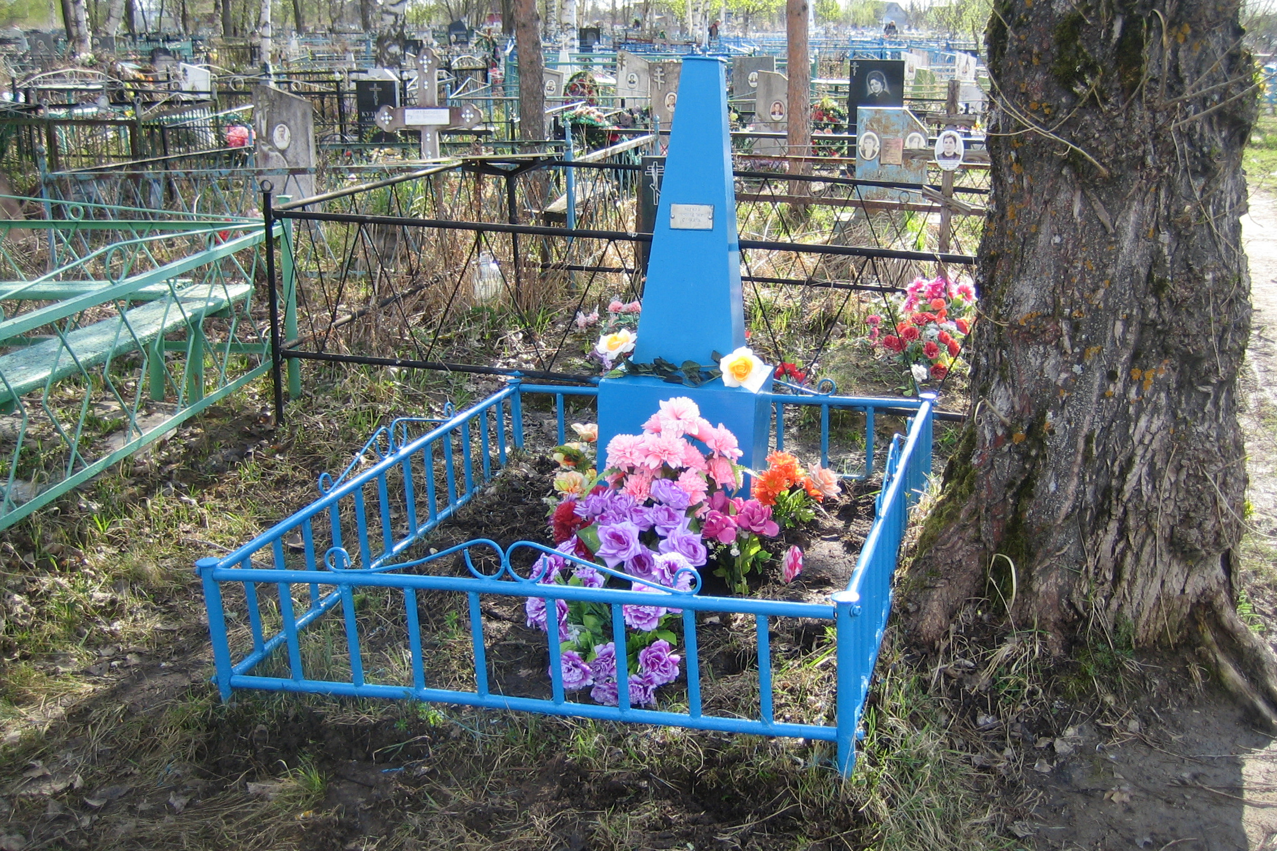 Могила неизвестного солдата. История Назиевского городского поселения