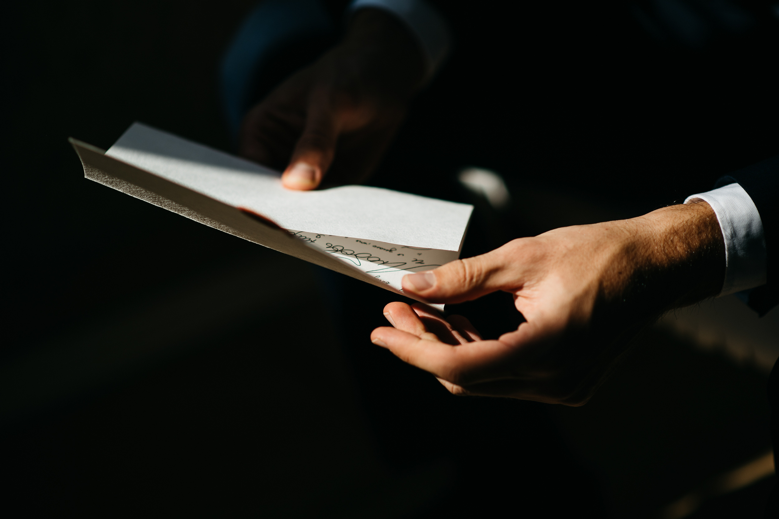 Владимир & Эва