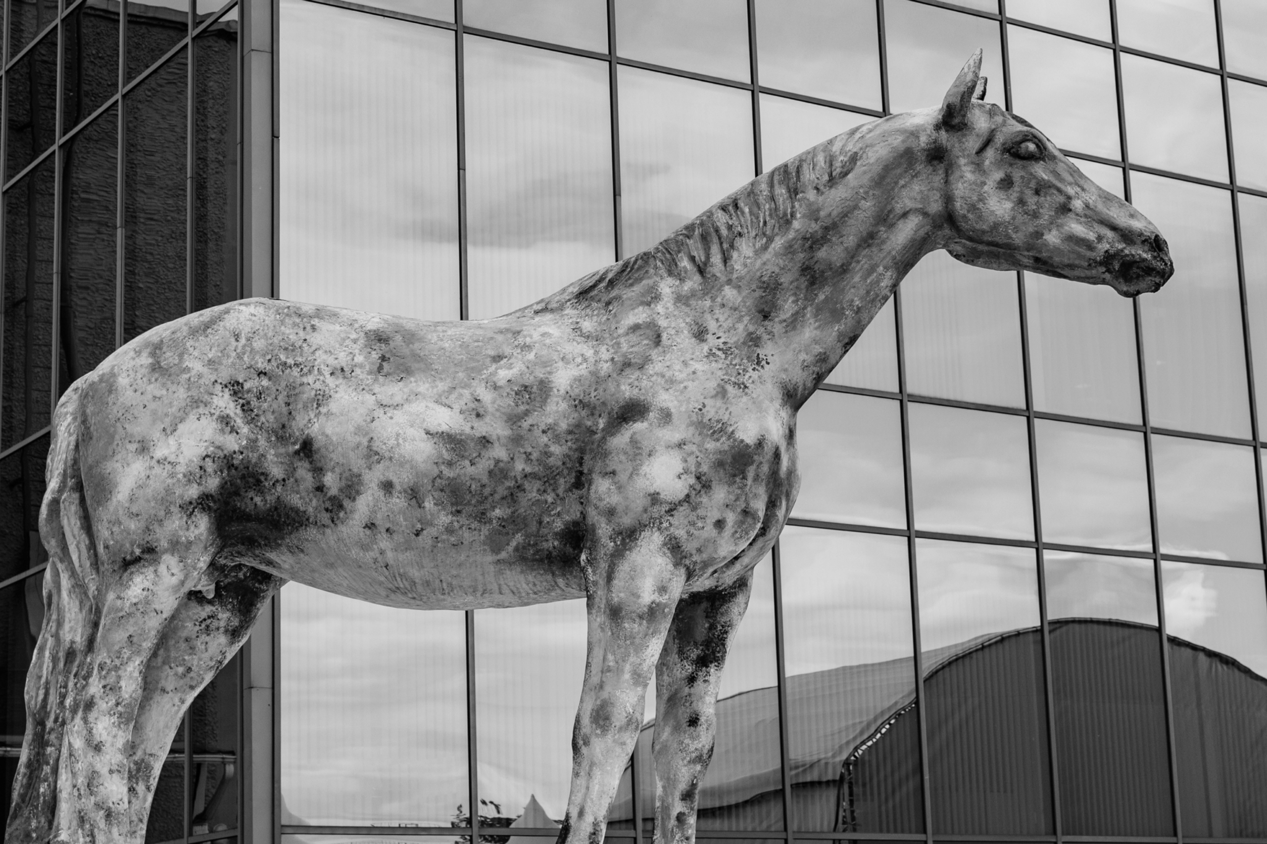 Открытие летнего сезона ЦНКТ