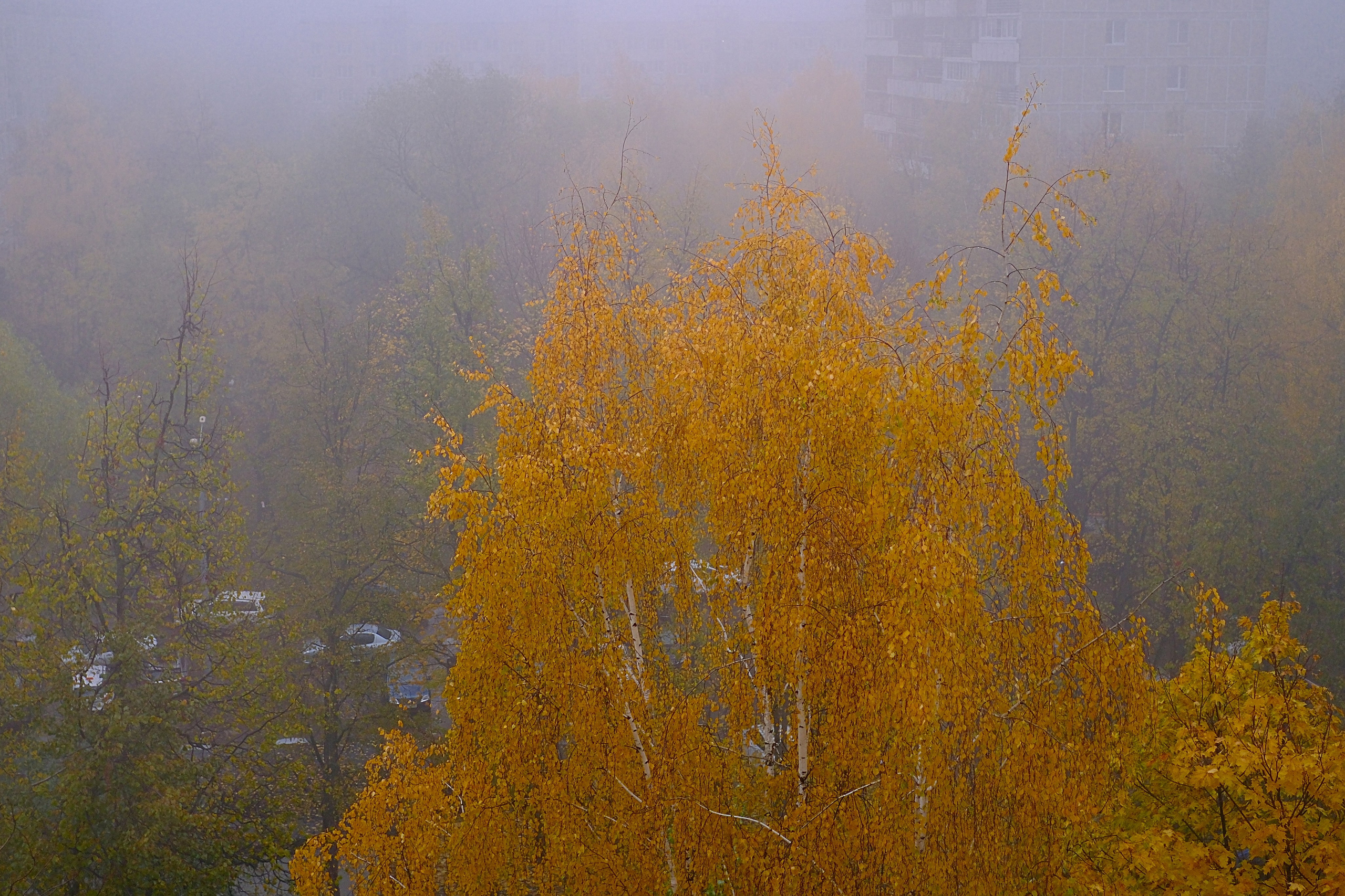 Фотоальбомы. Улица, люди, жизнь…