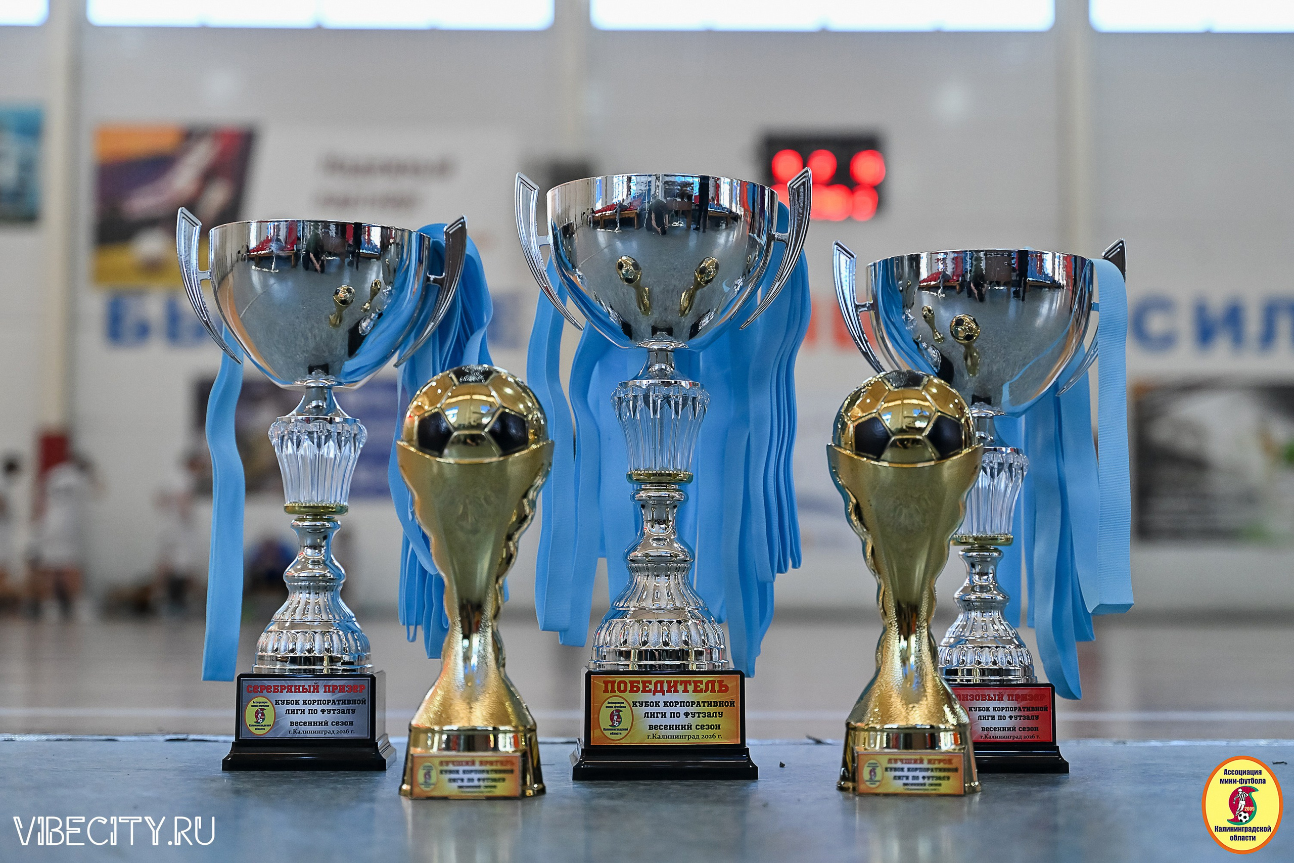 Спортивные события в Калининграде. VIBECITY.RU Вайб Сити Ру Фоторепортажи Фотоотчеты Калининград