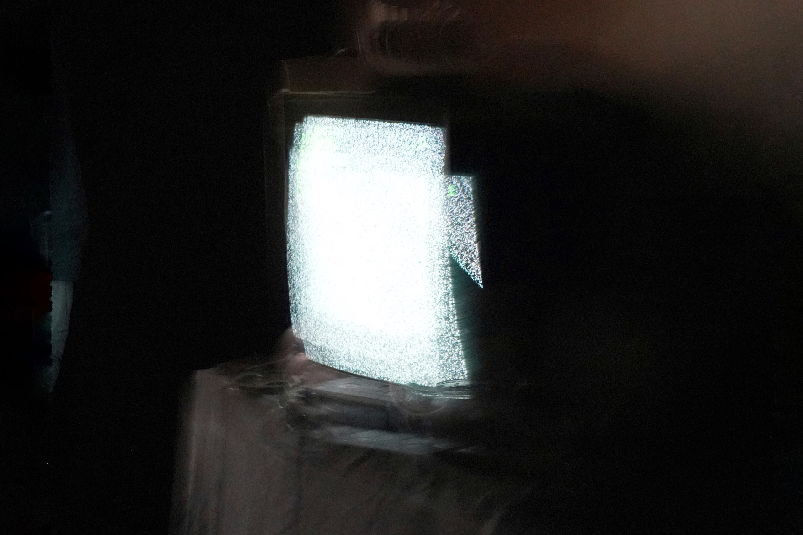 ЛОЛИТА. VetkasART