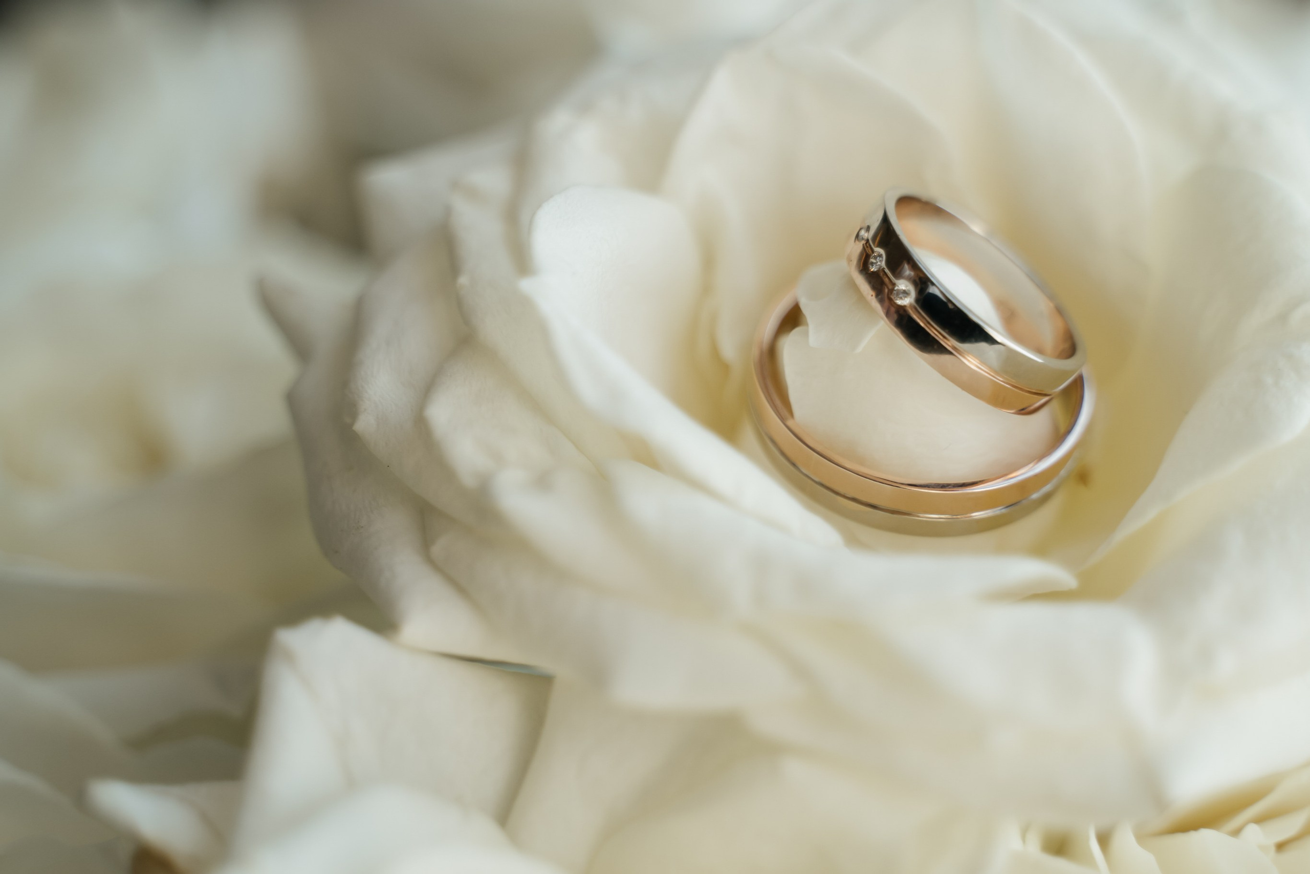 Свадебная история