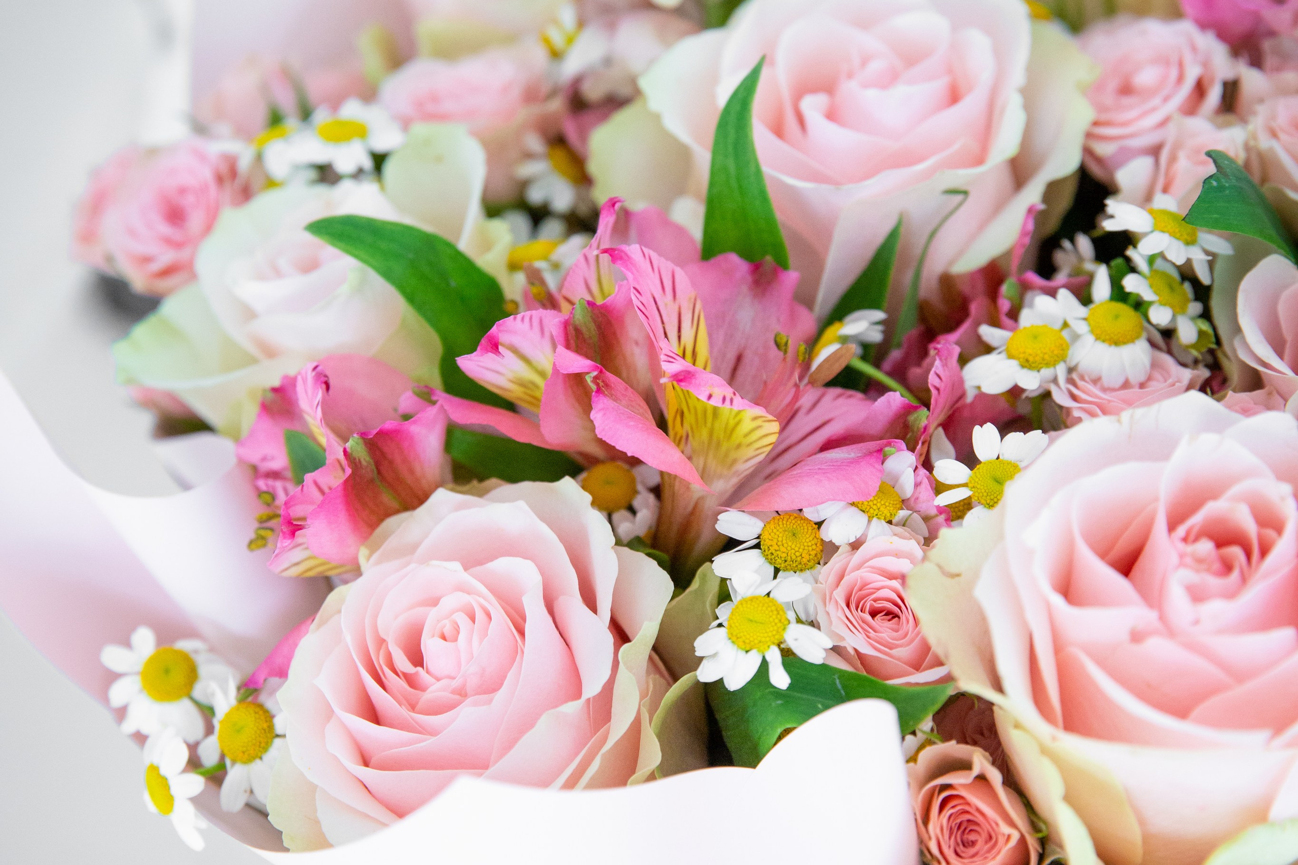 Юбилеи и корпоративы