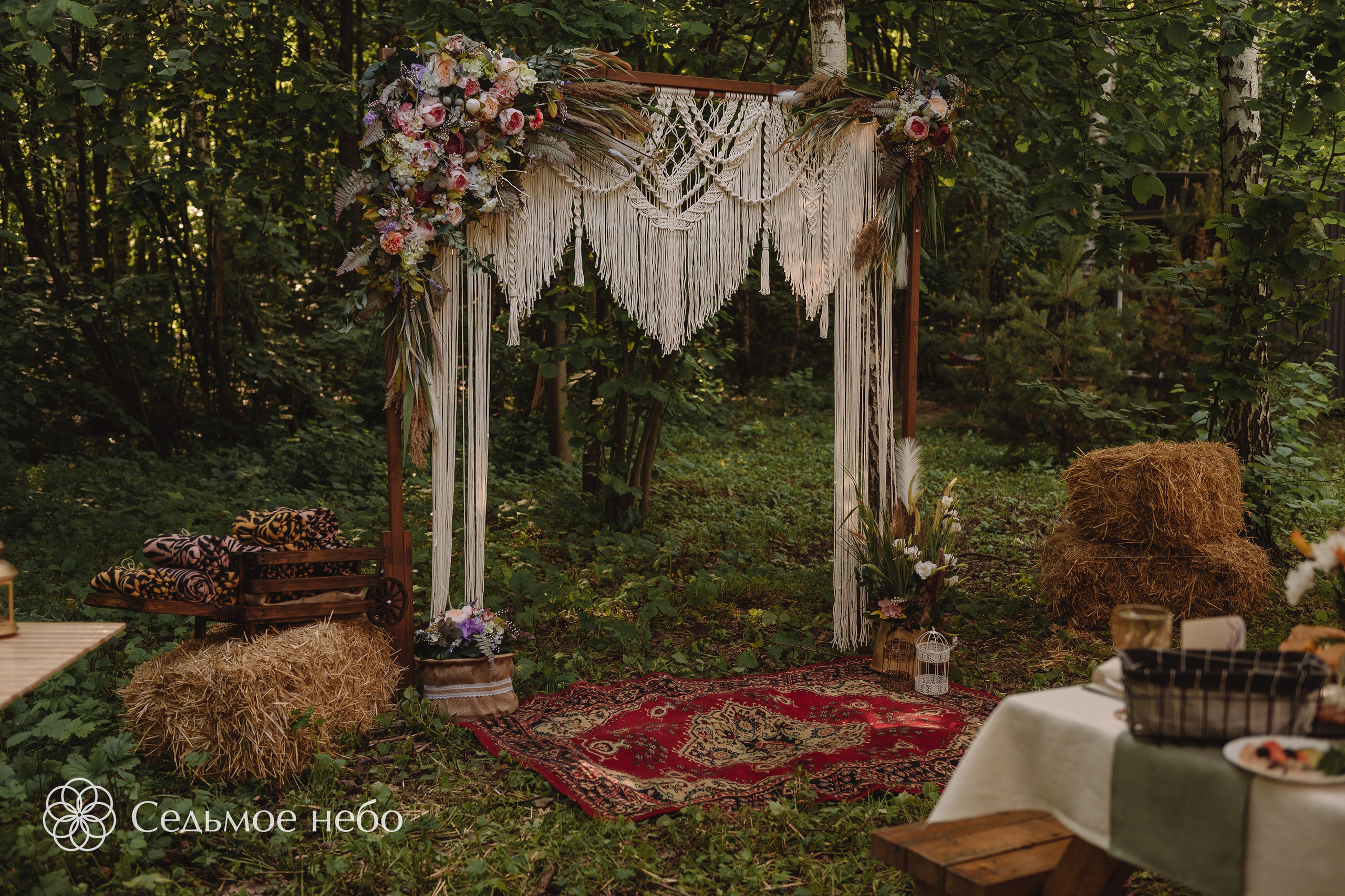 Николай & Елена