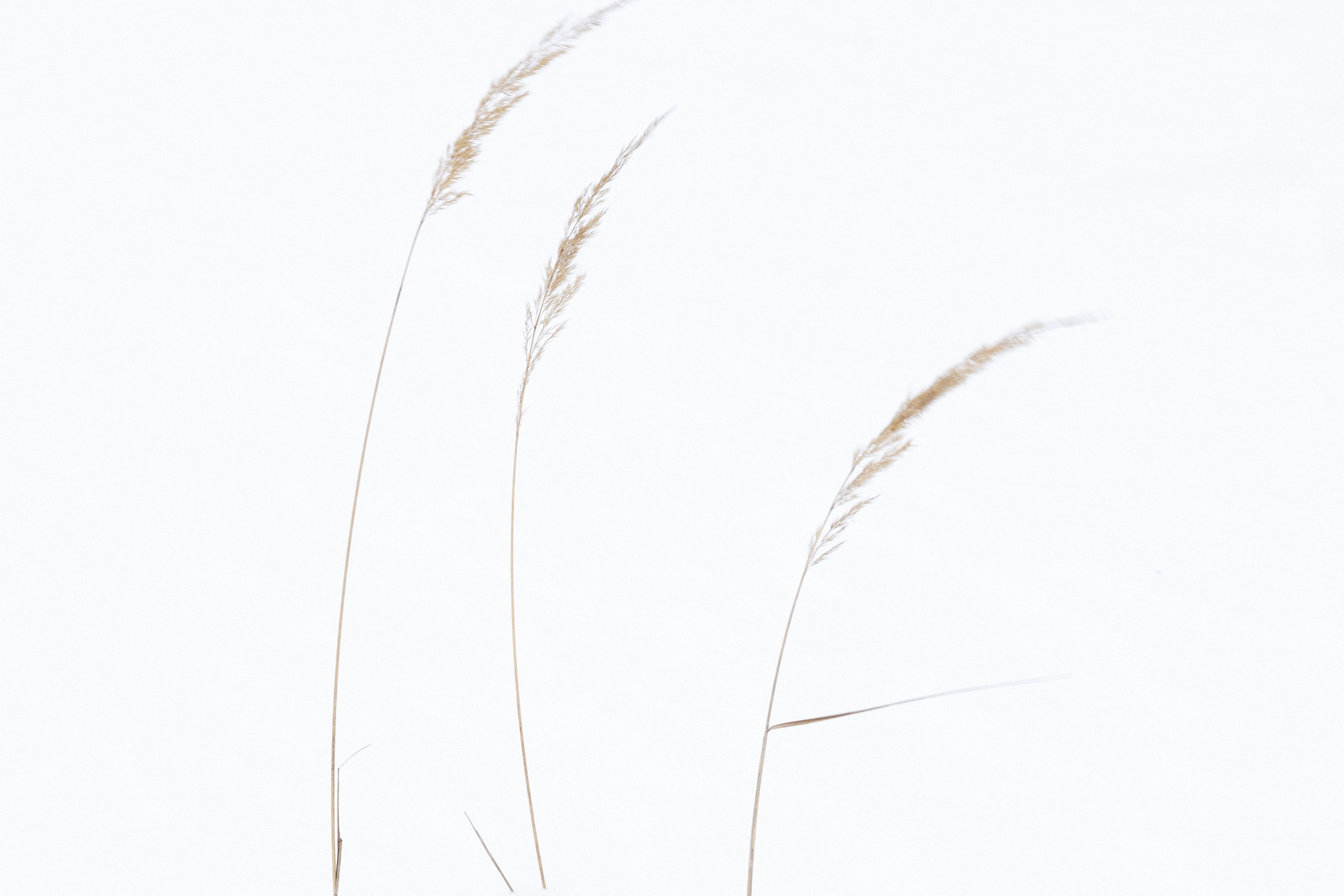 Хрупкость бытия