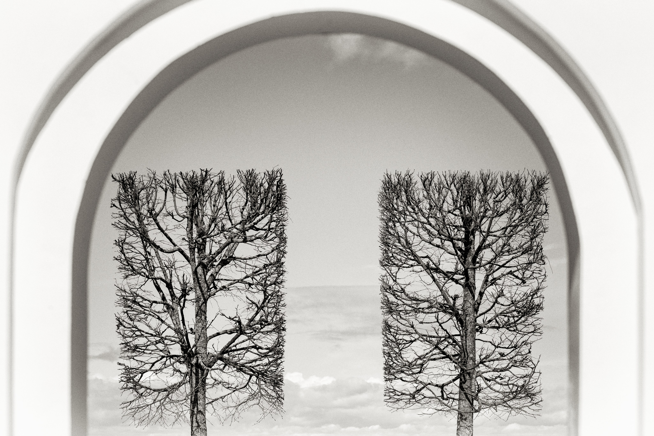 Фотографика