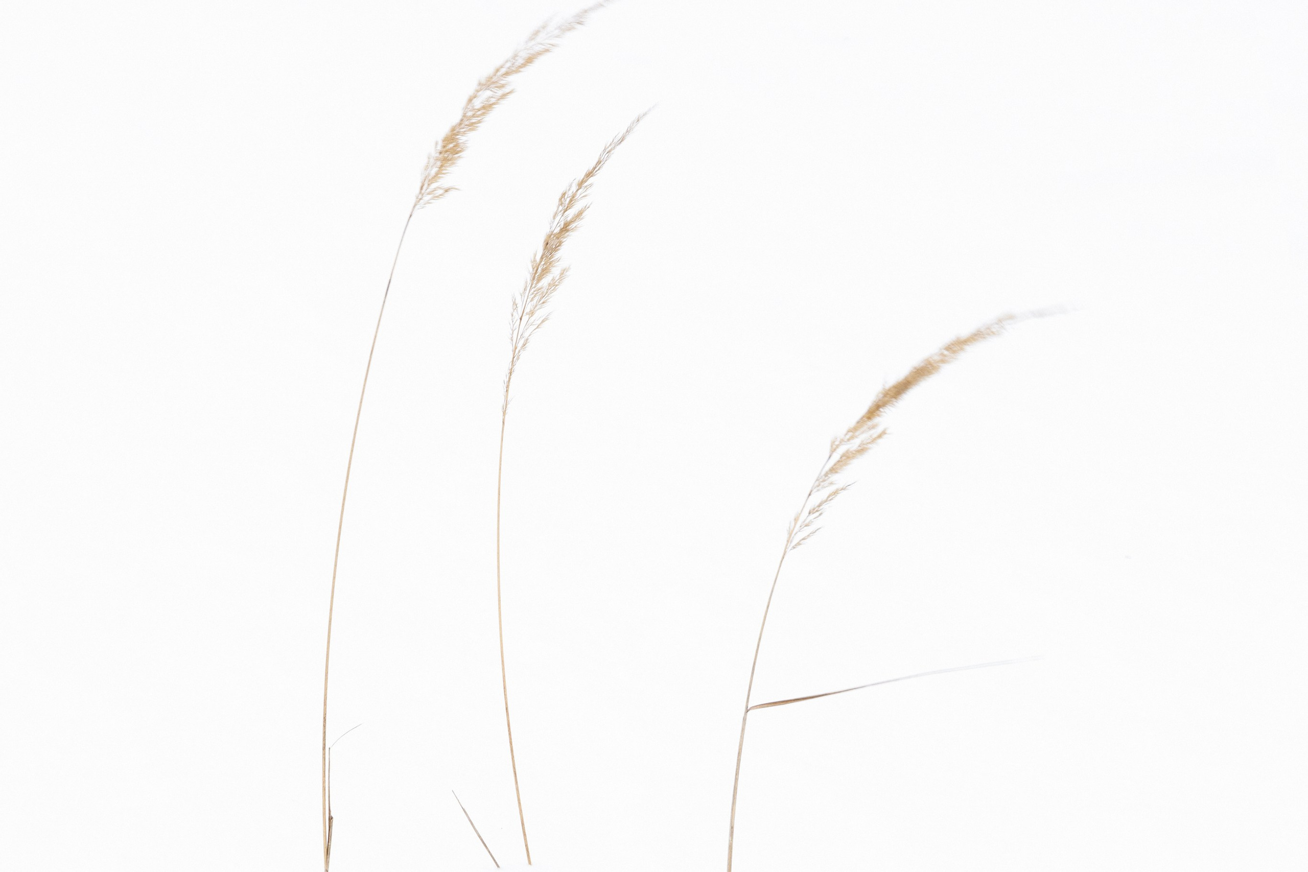 Хрупкость бытия