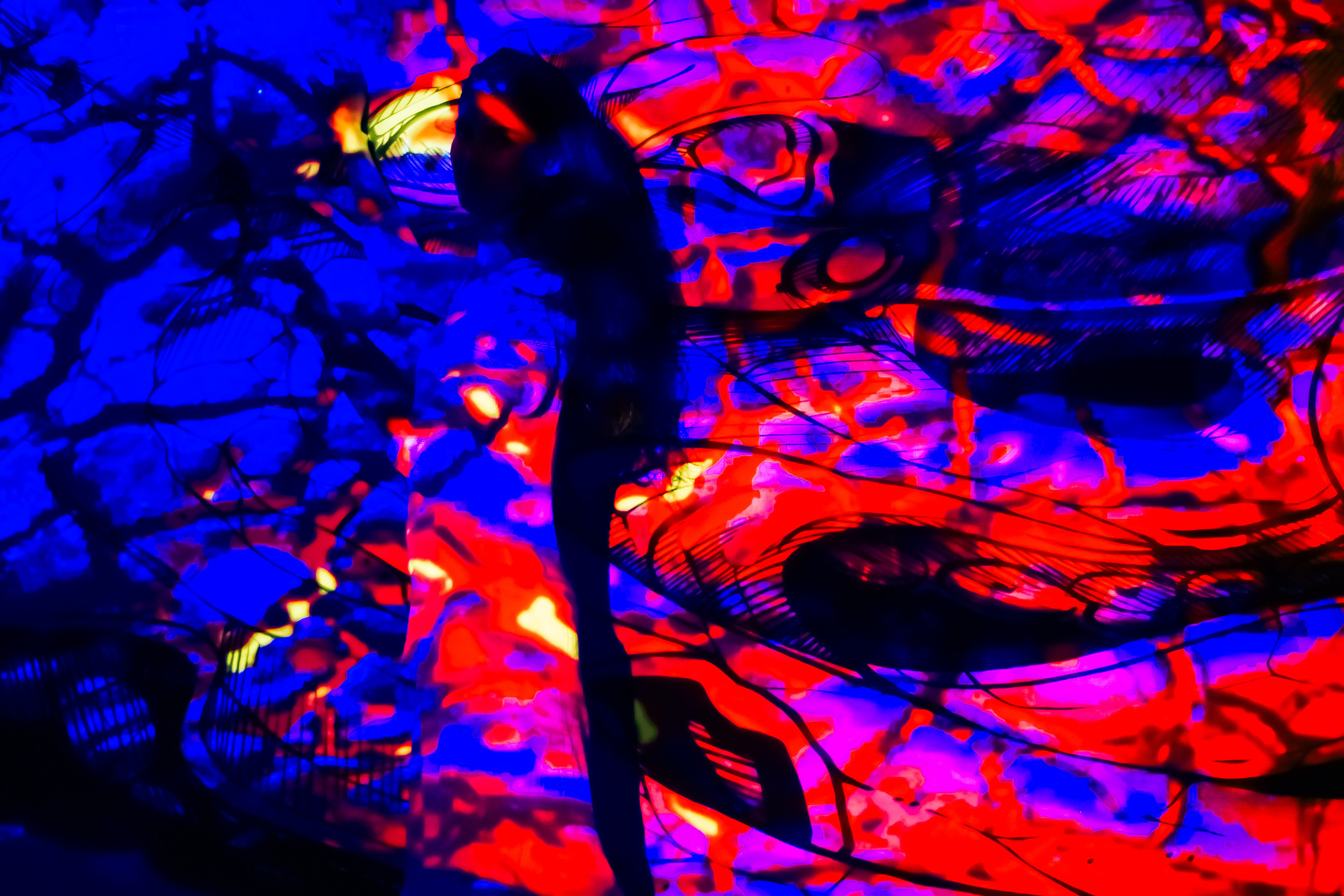 Арт- фотосессия