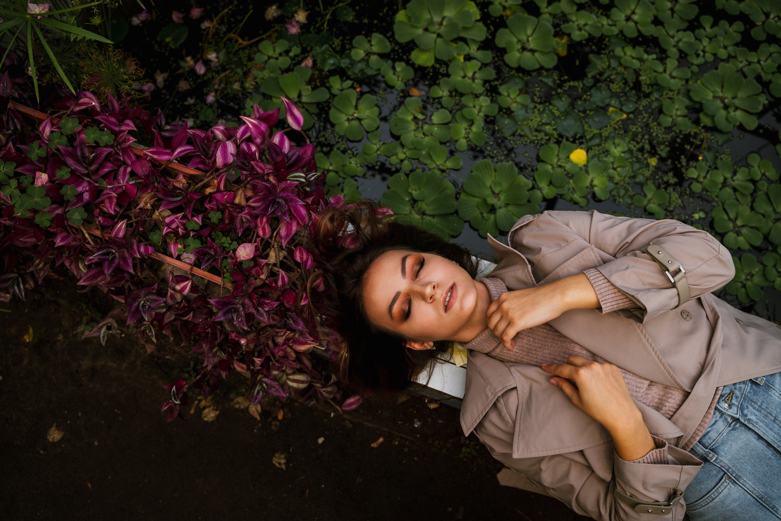 Тропическая зима