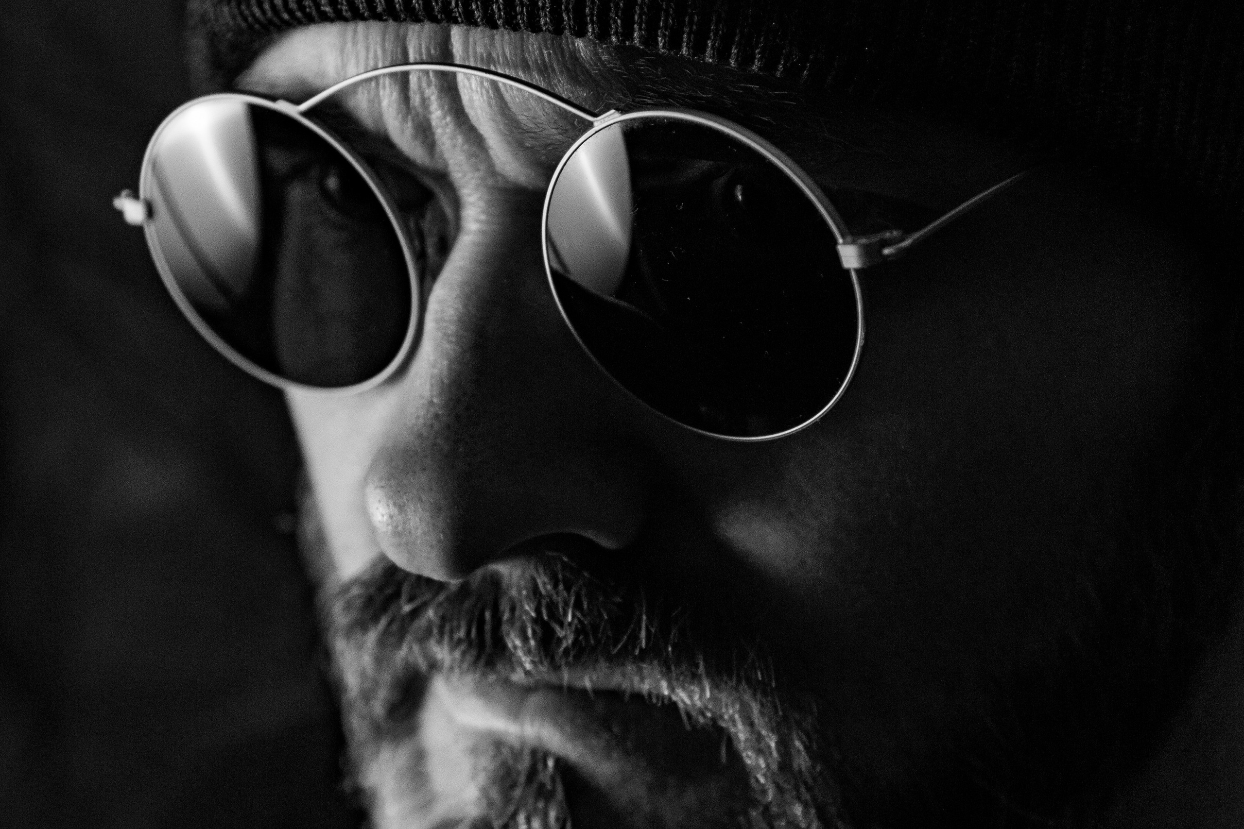 BLACK and WHITE. Ольга Паневина, фотограф, Санкт-Петербург