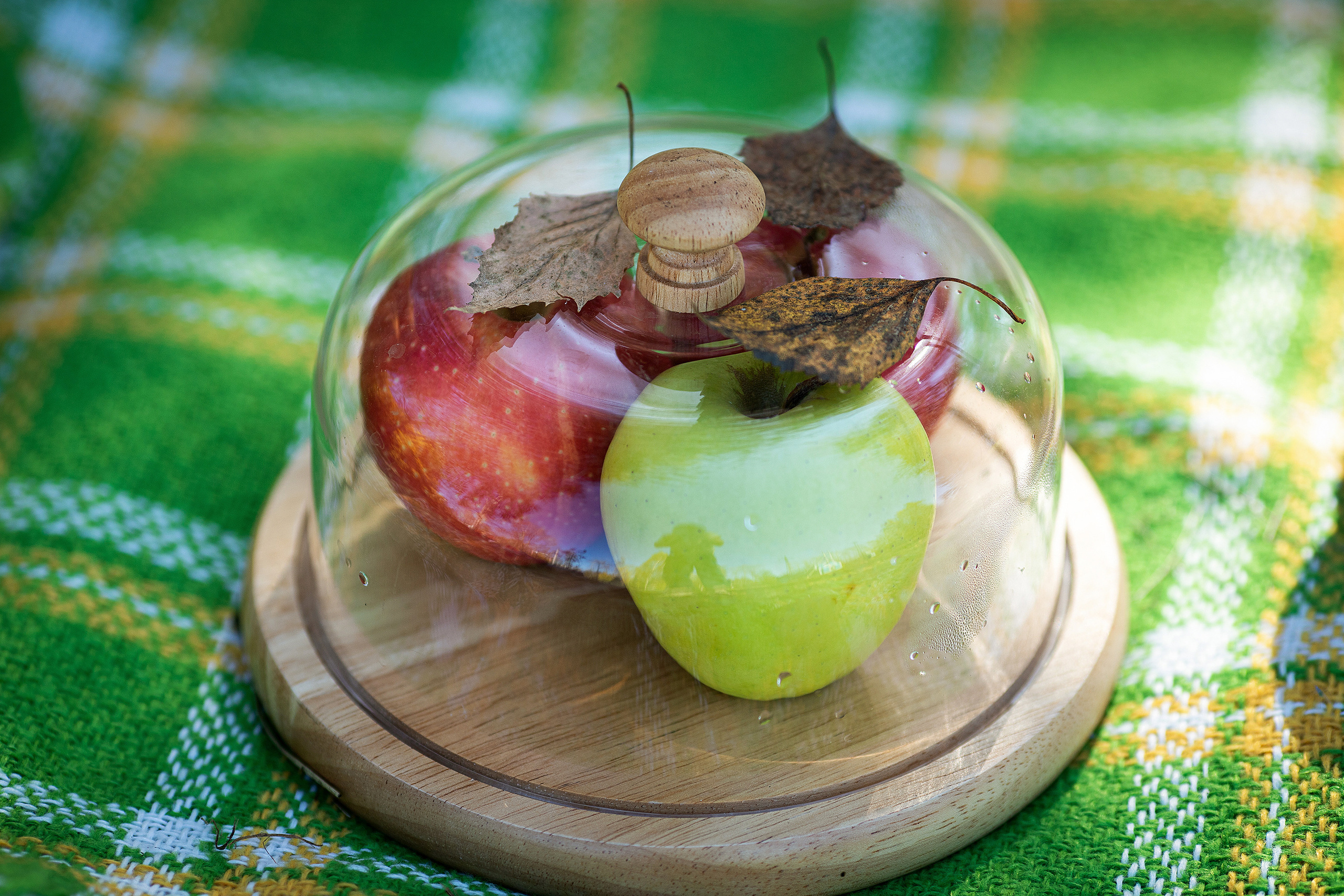 Дети. Свадебный, семейный и школьный фотограф в Иркутске Беломестнова Ольга