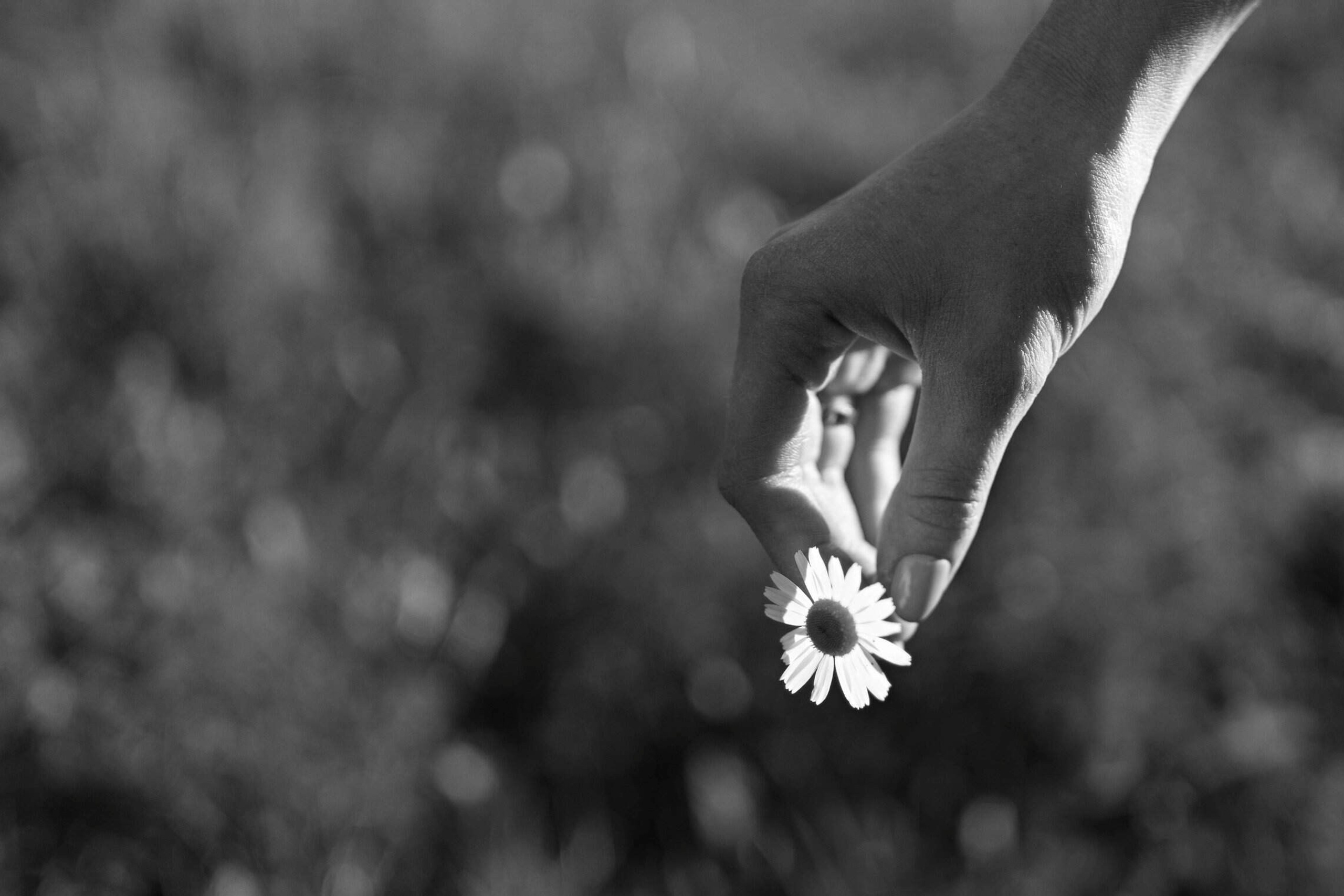 Женские портреты. Свадебный, семейный и школьный фотограф в Иркутске Беломестнова Ольга