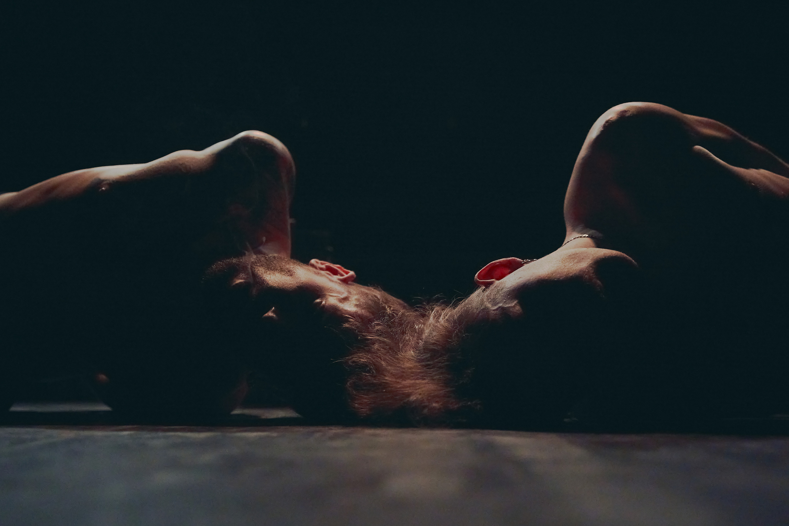 «Орестея», ЦСД