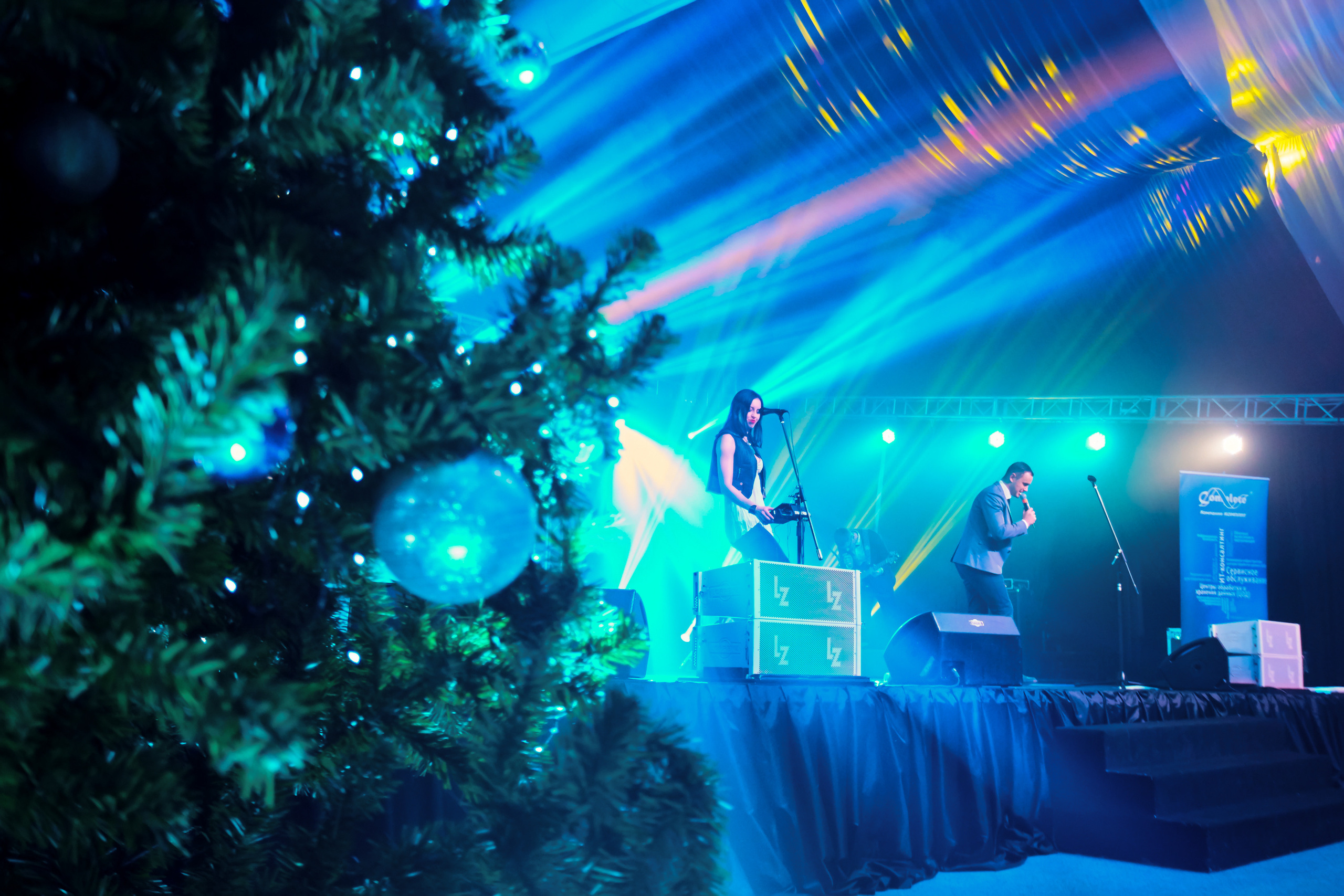 Новый Год 2020