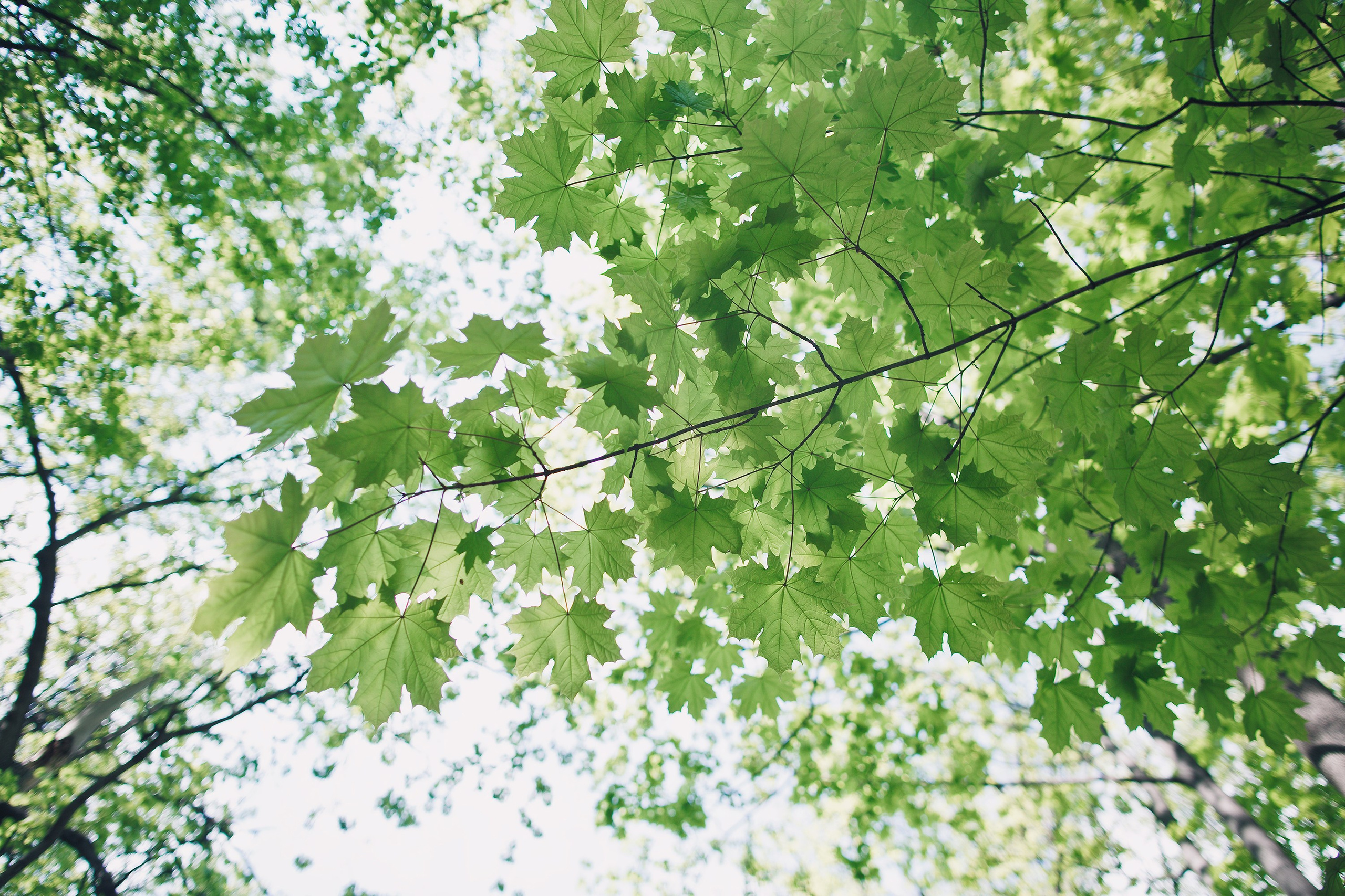 Ксения и Леонид