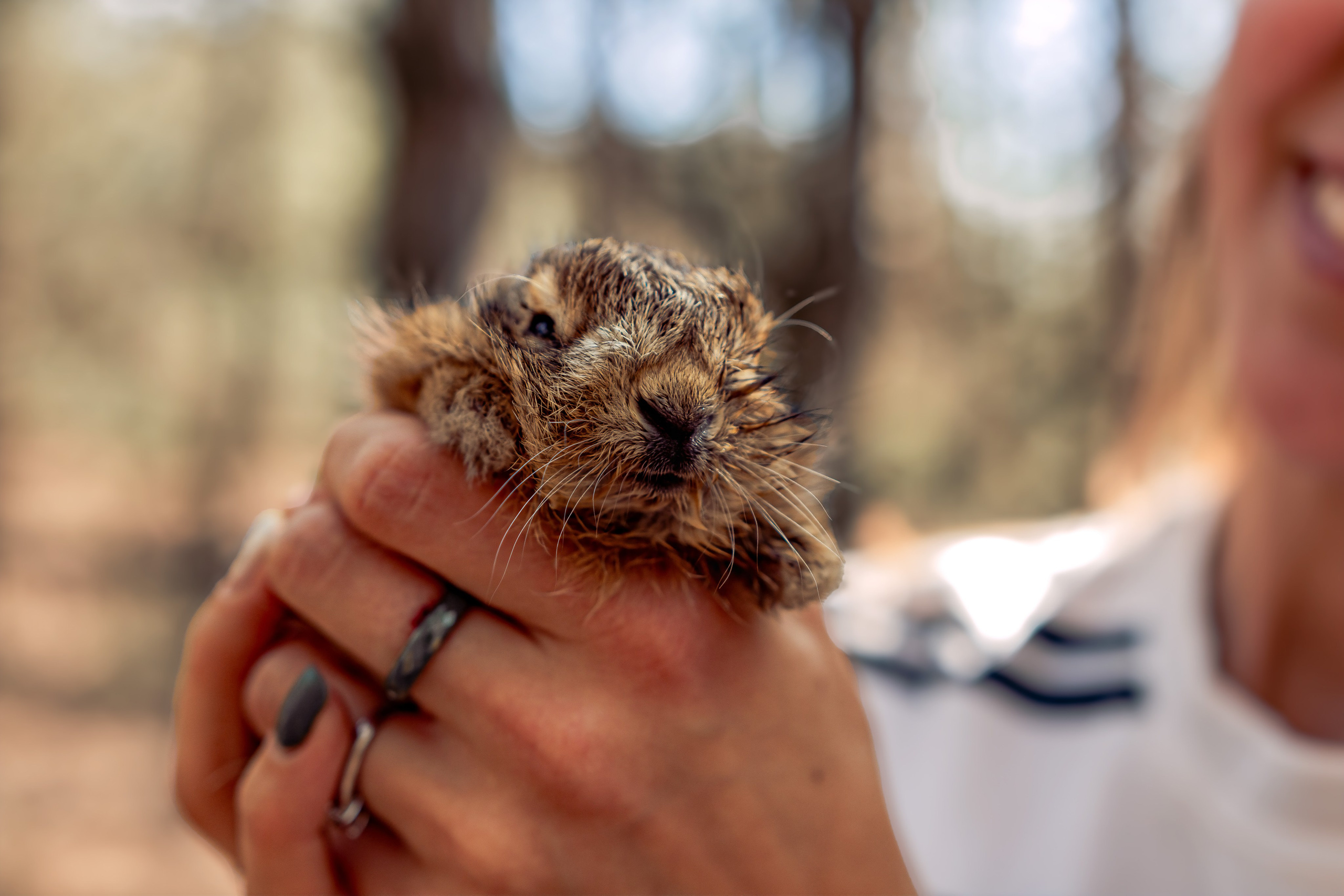 Омут памяти