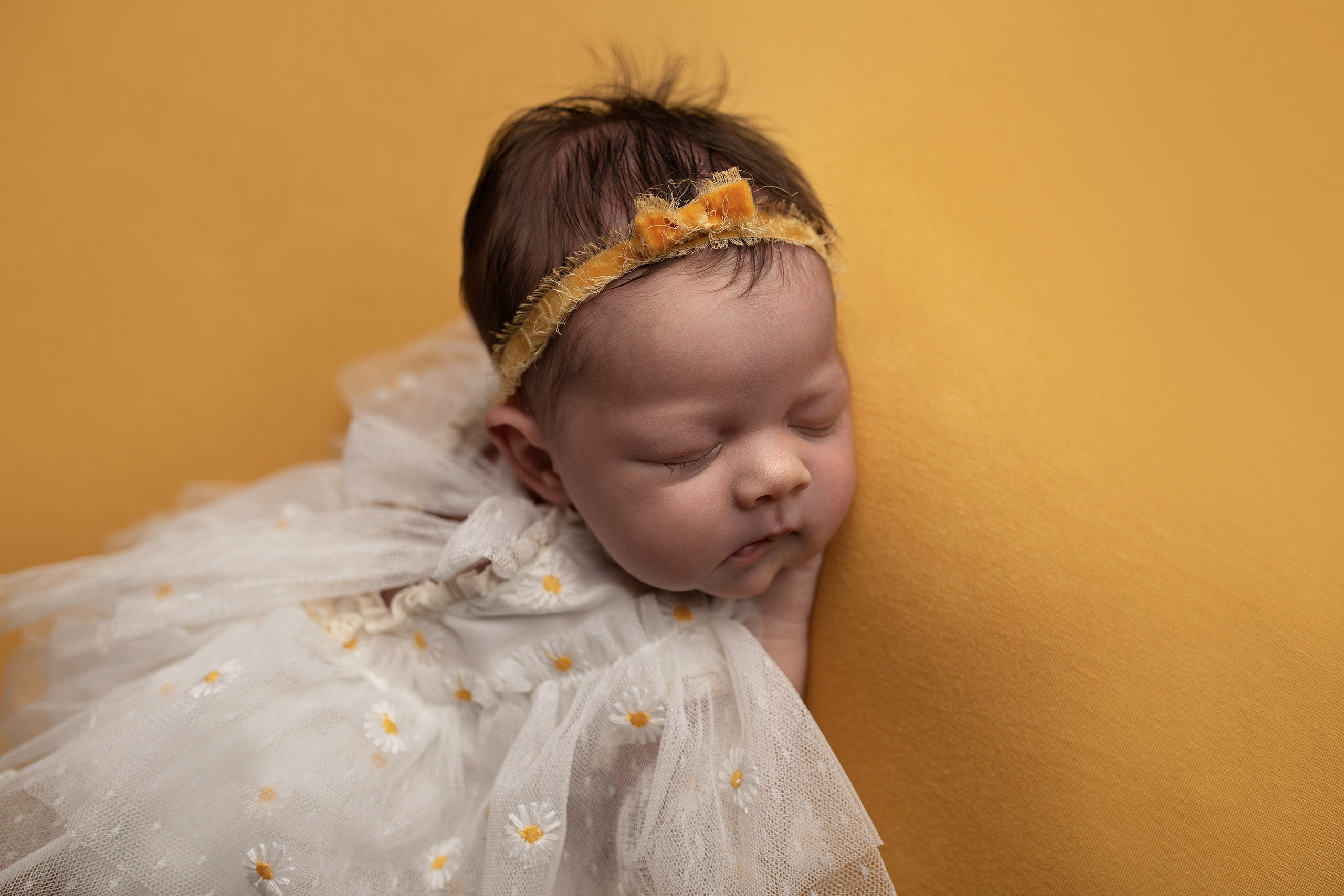 Анна пакет 2. Фотограф Новорожденных Новороссийск Елена Налбантова