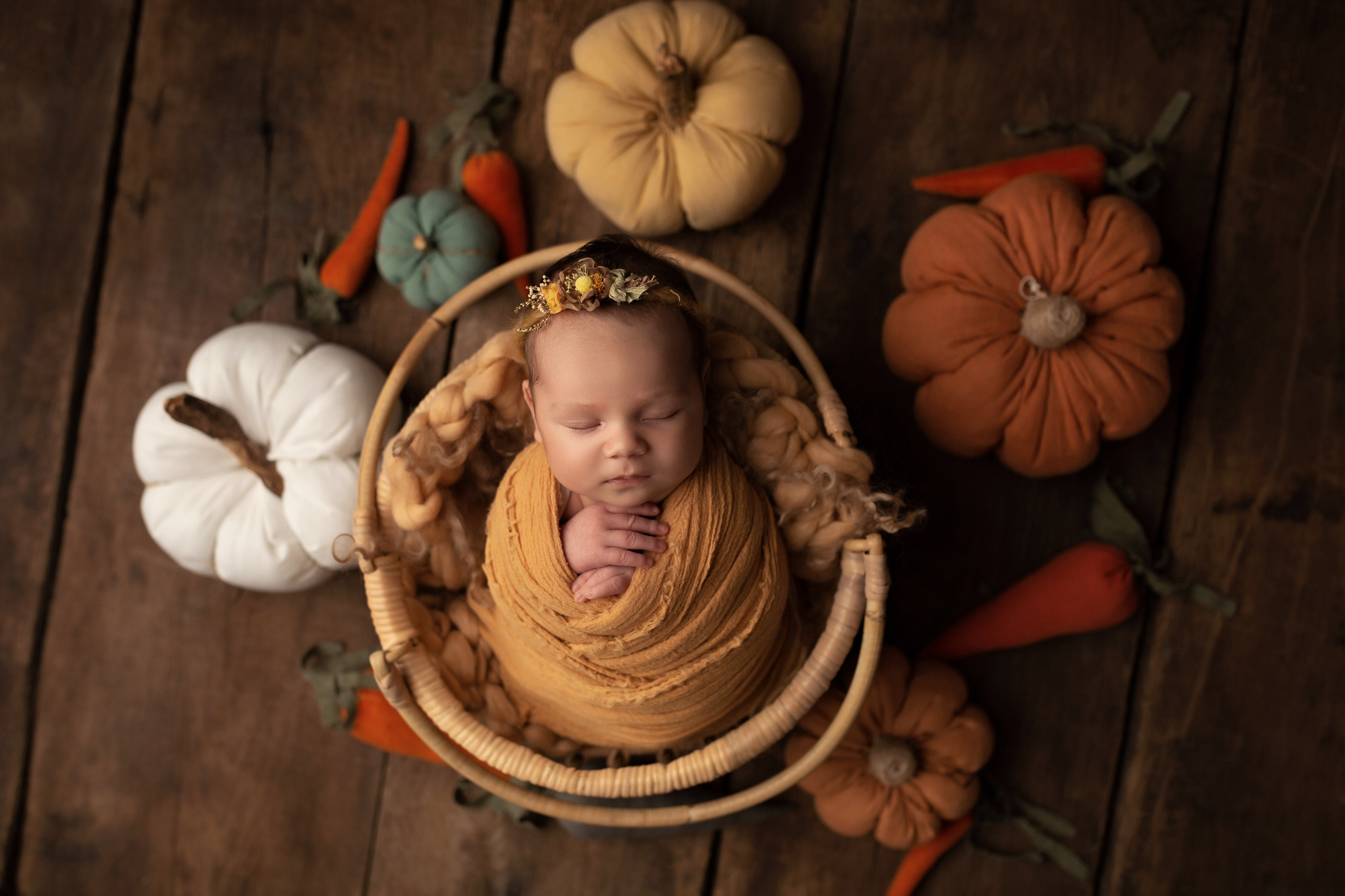 Варвара пакет Экспресс. Фотограф Новорожденных Новороссийск Елена Налбантова