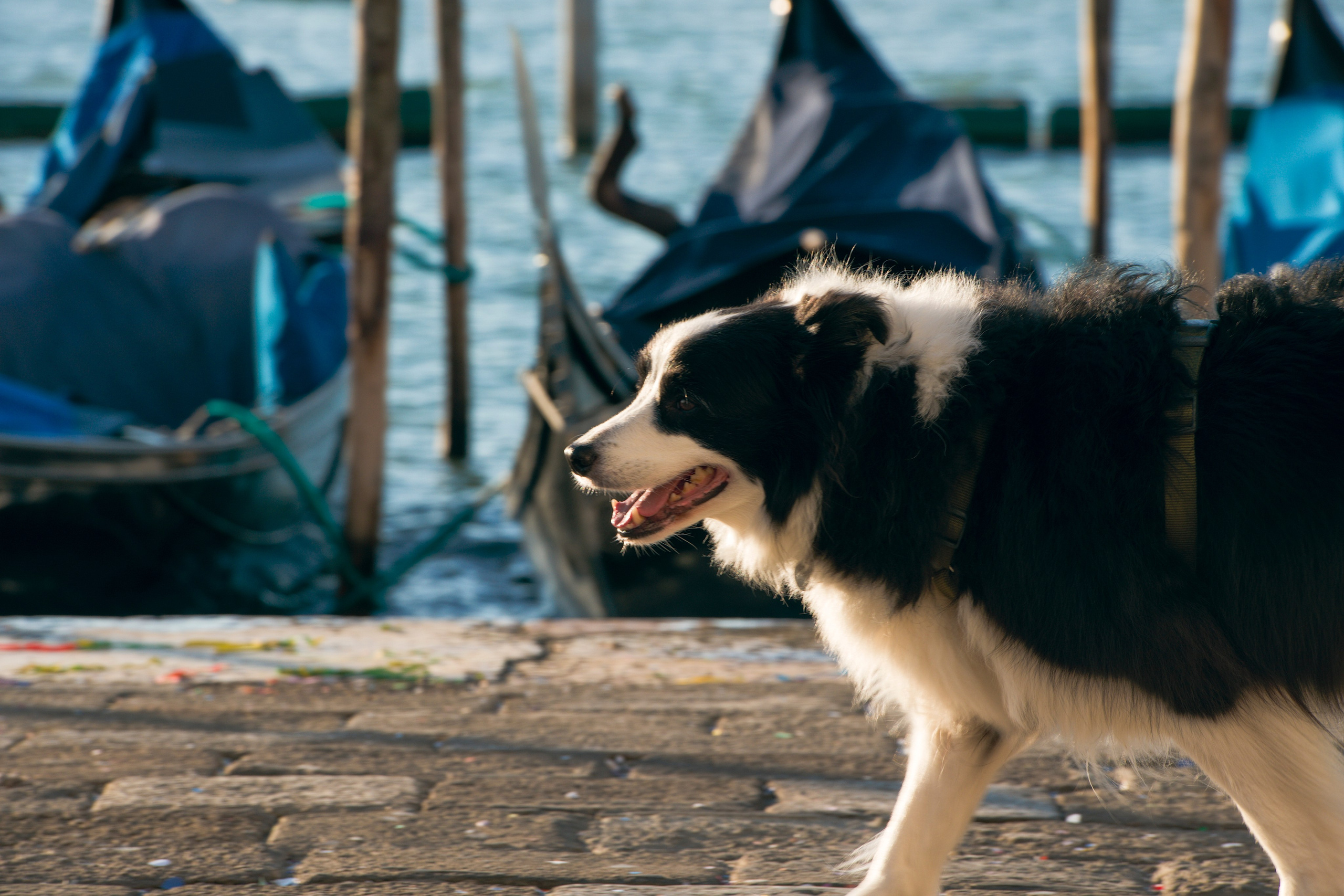 Блог фотографа Талилула