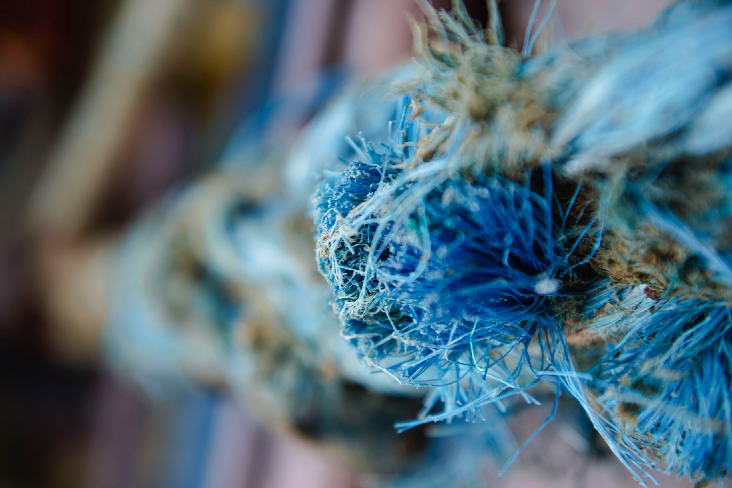 Визуальный мир