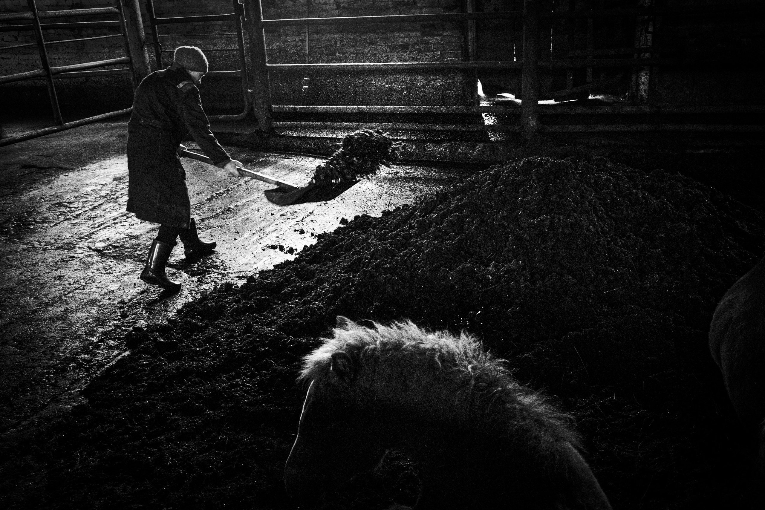 Быть счастливым. Татьяна Корчагина. Фотограф, художник. Обучение фотографии