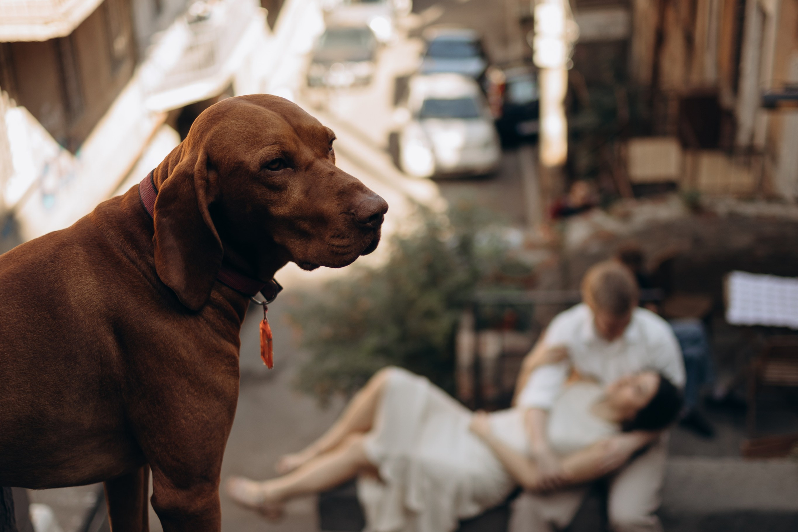 Лилия и Дмитрий