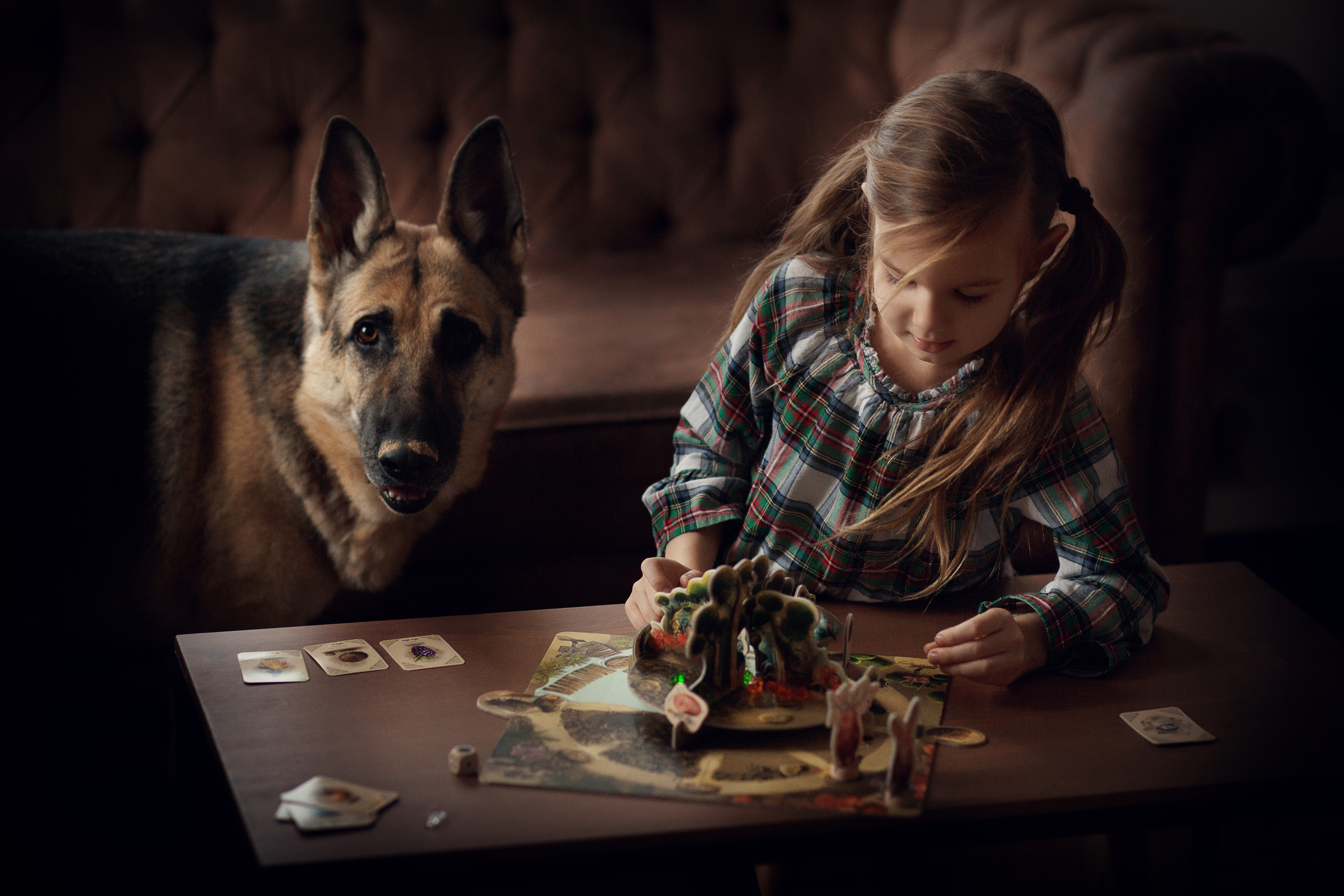 Домашние съемки