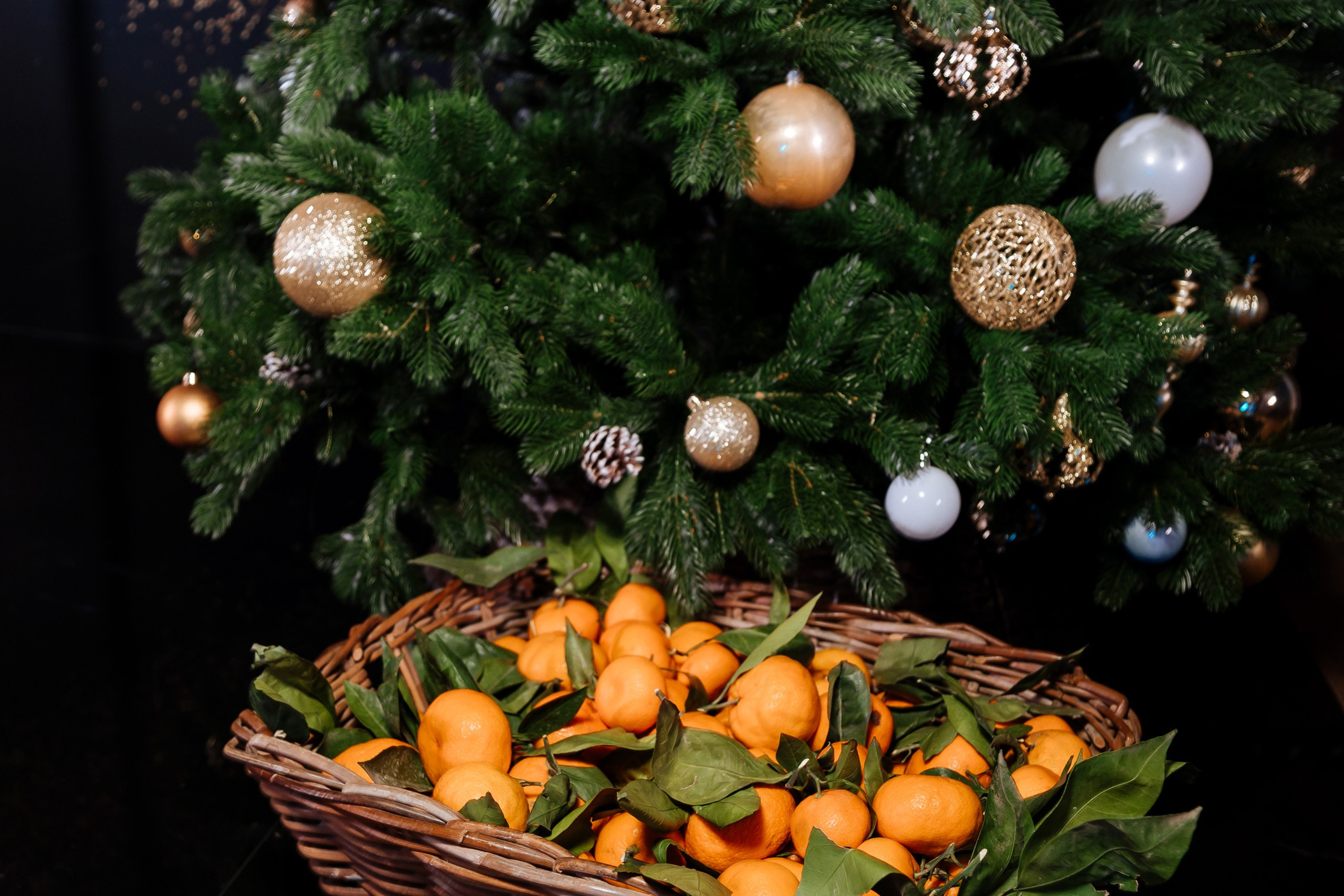 «Велесстрой СМУ» Шато Пино